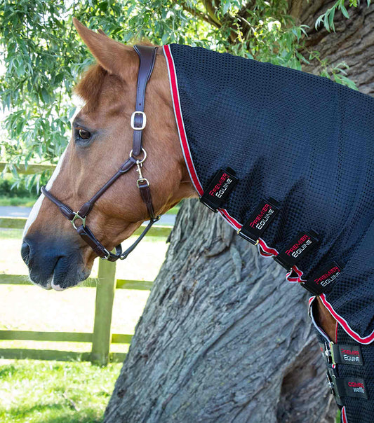 Premier Equine Combo Buster Waffle Horse Cooler Rug by Premier Equine at  Try a Bit