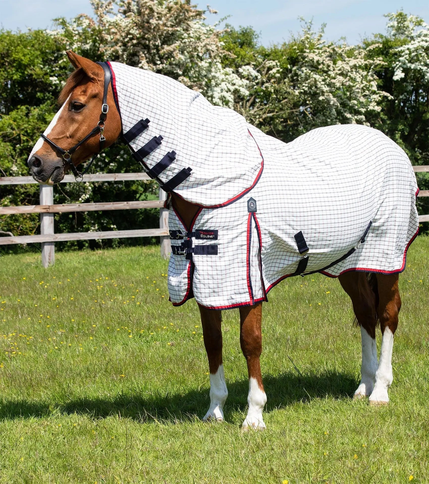 Premier Equine Combo Cotton Sheet by Premier Equine at Try a Bit