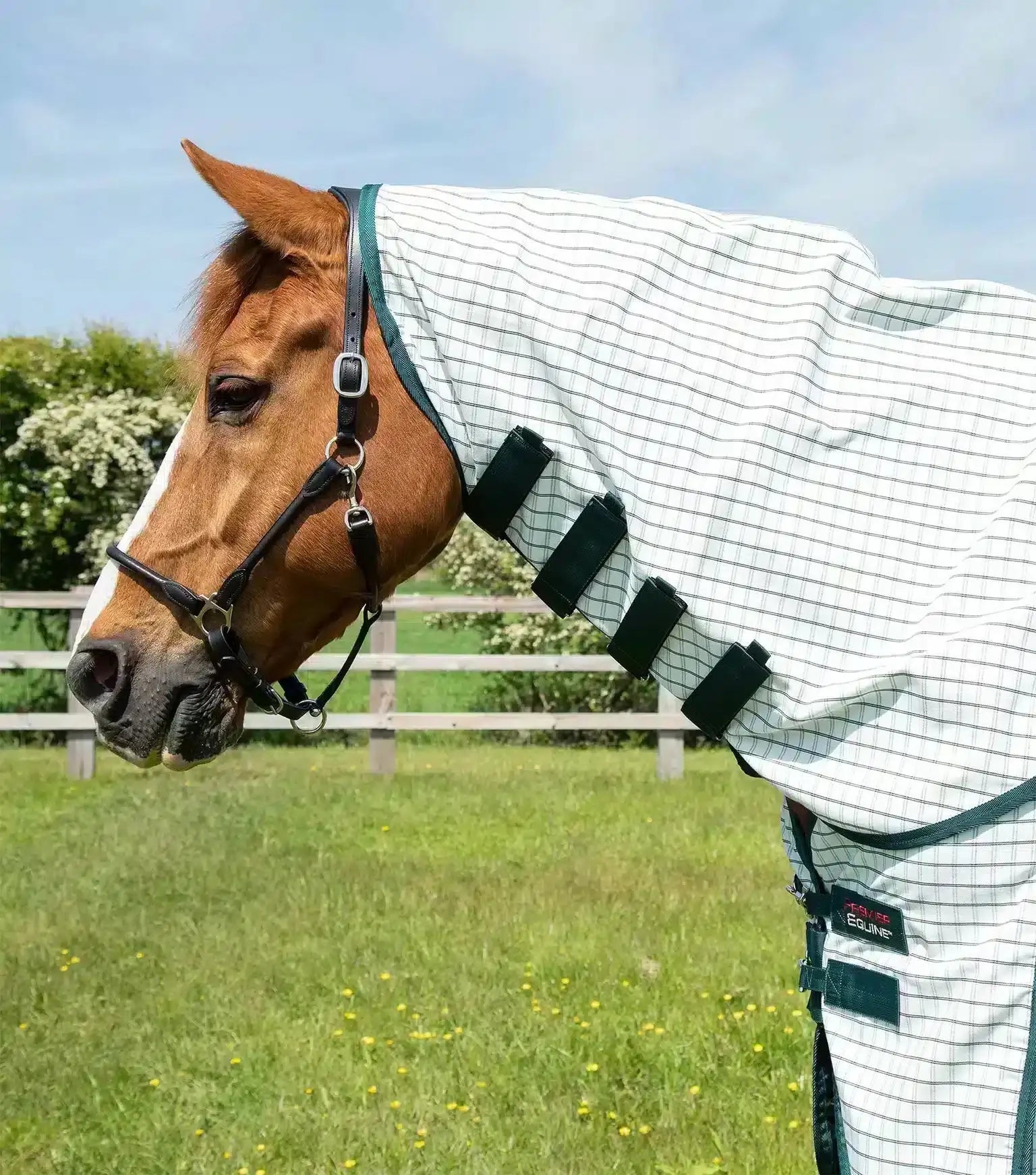 Premier Equine Combo Cotton Sheet by Premier Equine at Try a Bit