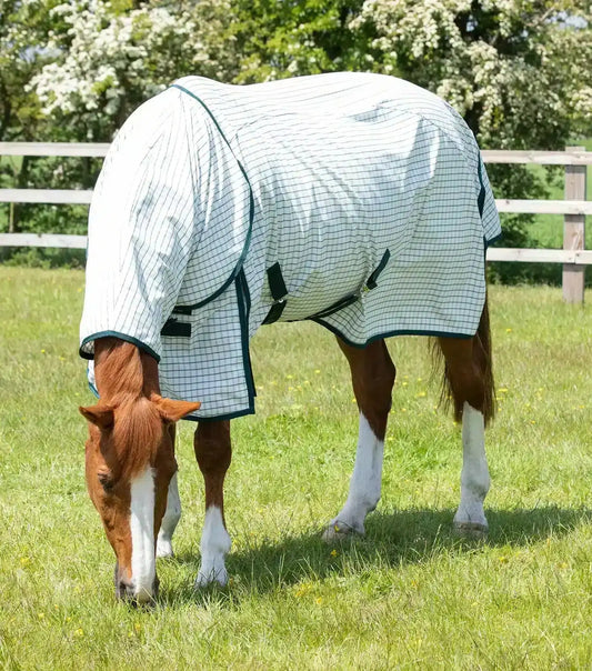 Premier Equine Combo Cotton Sheet by Premier Equine at Try a Bit