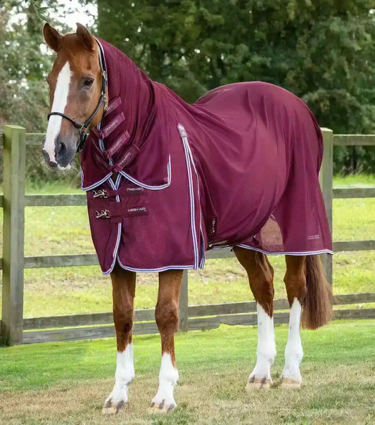 Premier Equine Combo Mesh Air Fly Rug with Surcingles by Premier Equine at Try a Bit