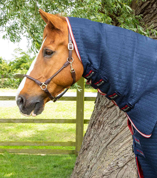 Premier Equine Combo Dry-Tech Horse Cooler Rug by Premier Equine at  Try a Bit