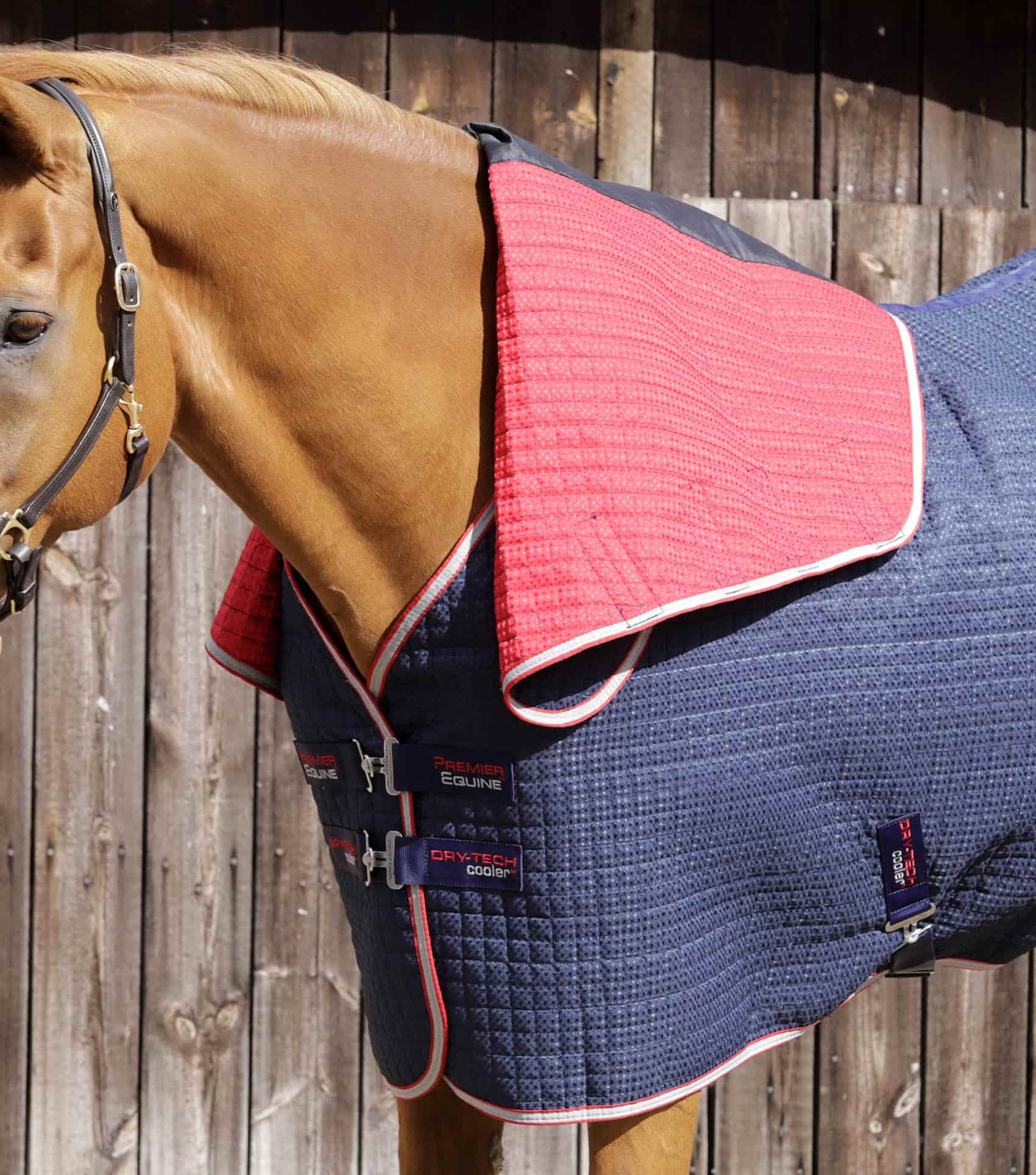 Premier Equine Combo Dry-Tech Horse Cooler Rug by Premier Equine at Try a Bit