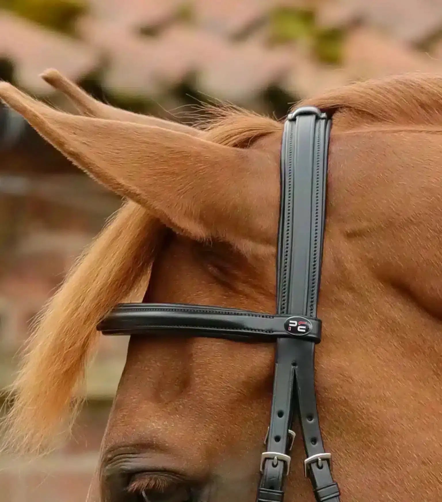 Premier Equine Delizioso Snaffle Bridle by Premier Equine at Try a Bit