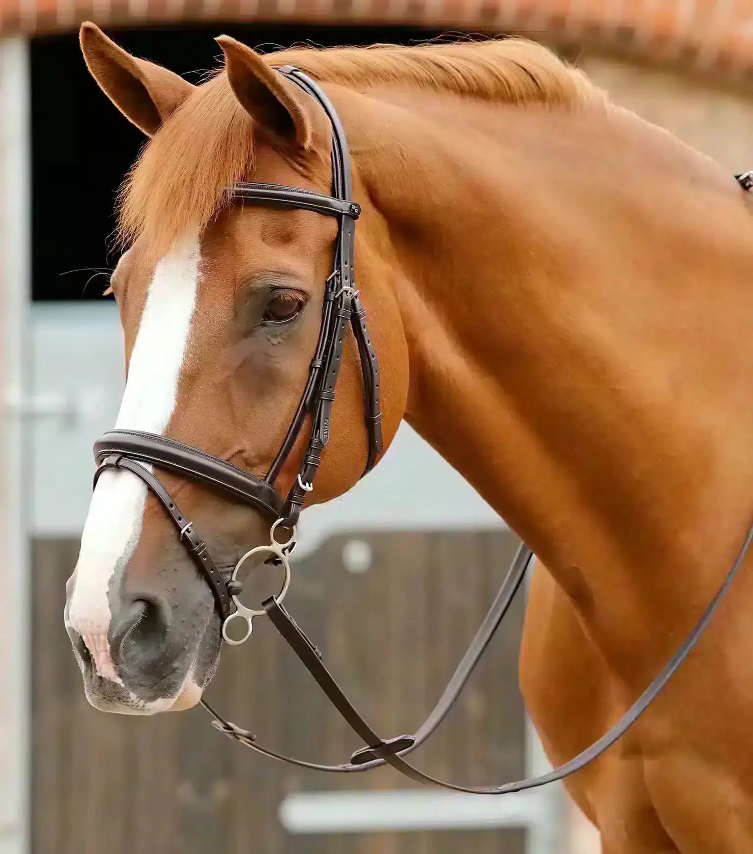 Premier Equine Delizioso Snaffle Bridle by Premier Equine at Try a Bit