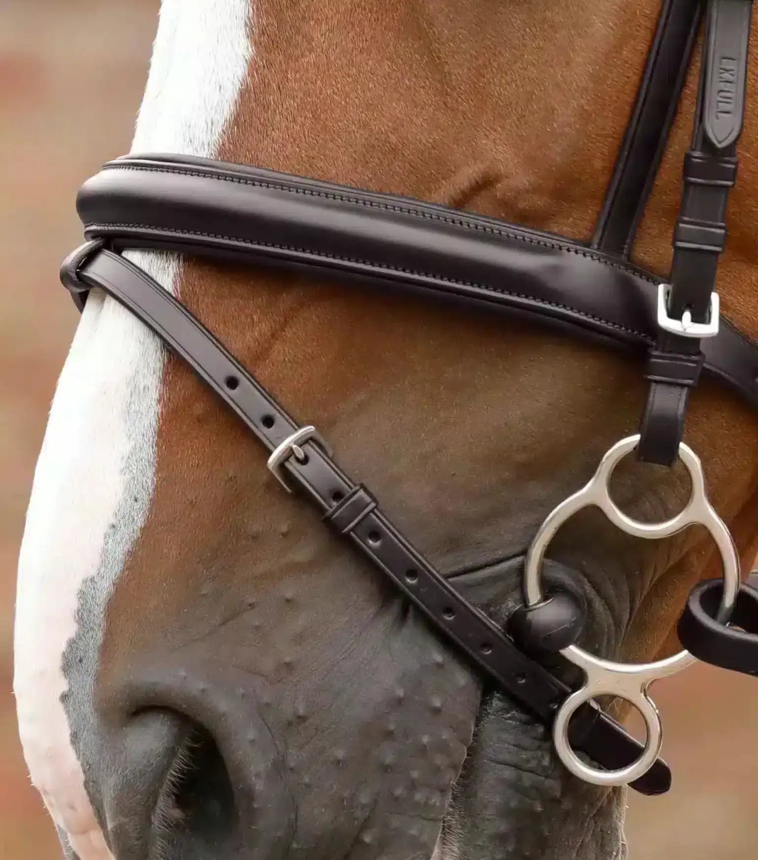 Premier Equine Delizioso Snaffle Bridle by Premier Equine at Try a Bit