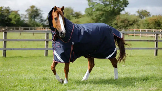 Premier Equine Titan 100g Turnout Rug with Snug-Fit Neck Cover by Premier Equine at Try a Bit