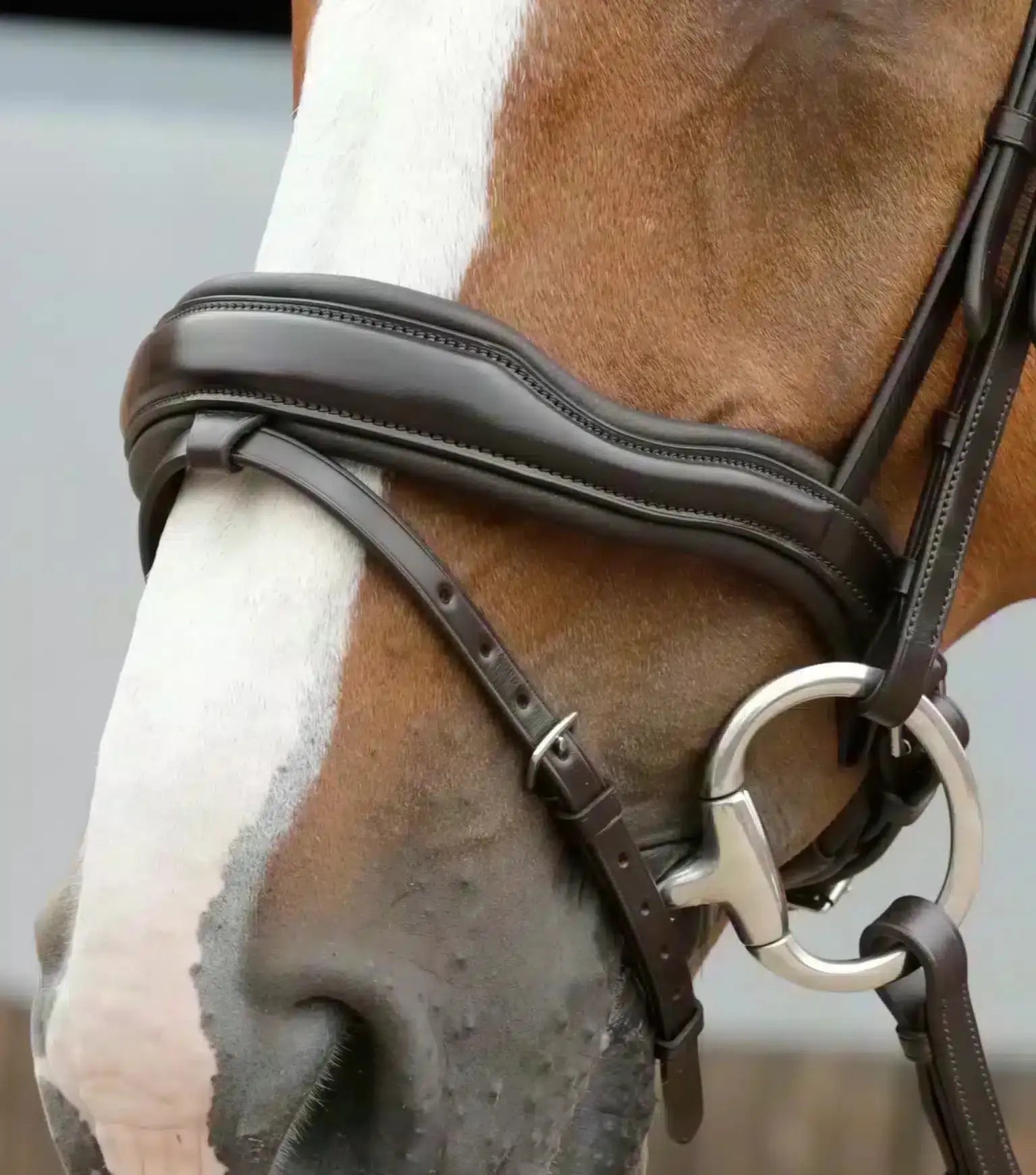 Premier Equine Favoloso Anatomic Bridle with Crank Noseband by Premier Equine at Try a Bit