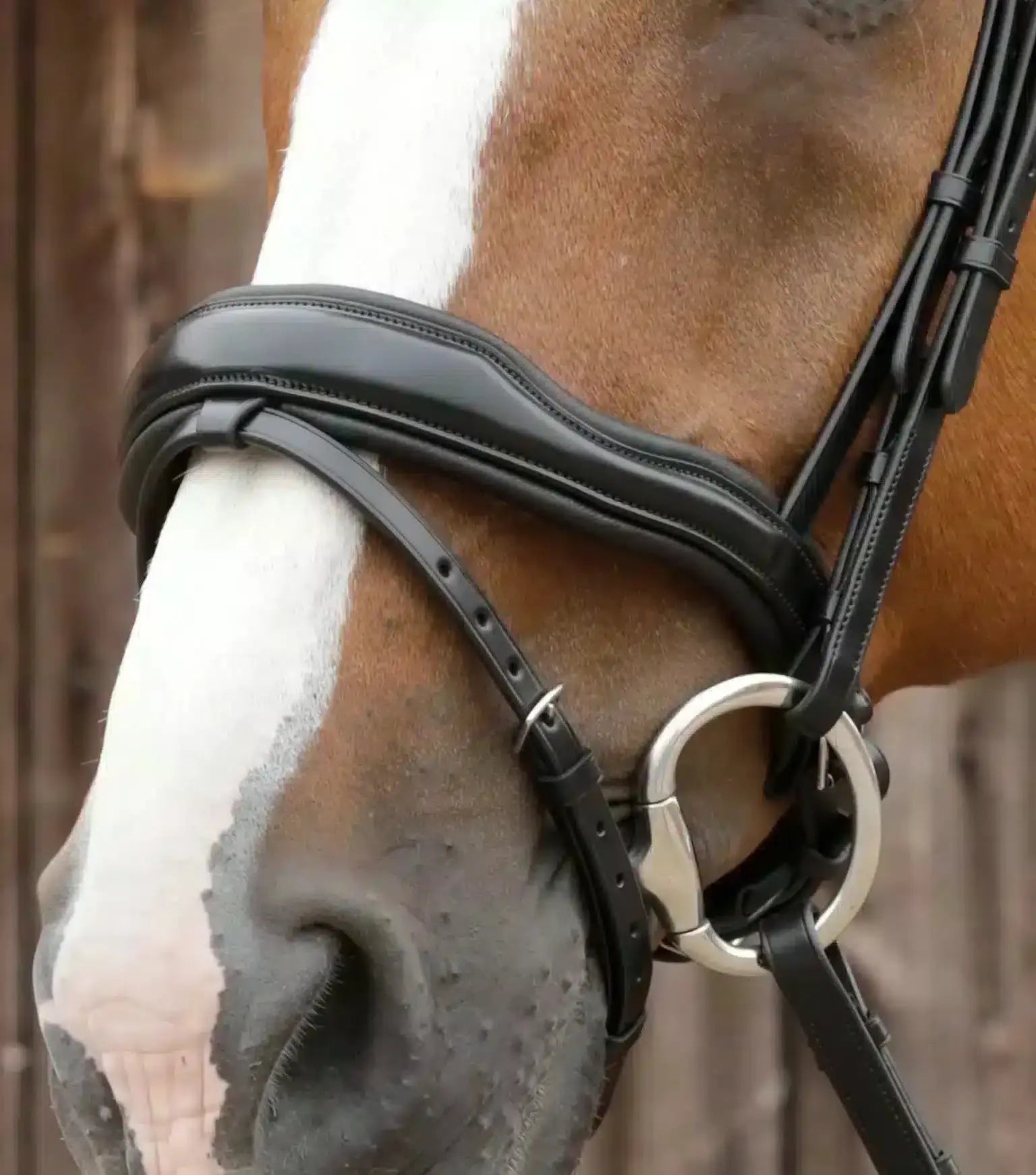 Premier Equine Favoloso Anatomic Bridle with Crank Noseband by Premier Equine at Try a Bit
