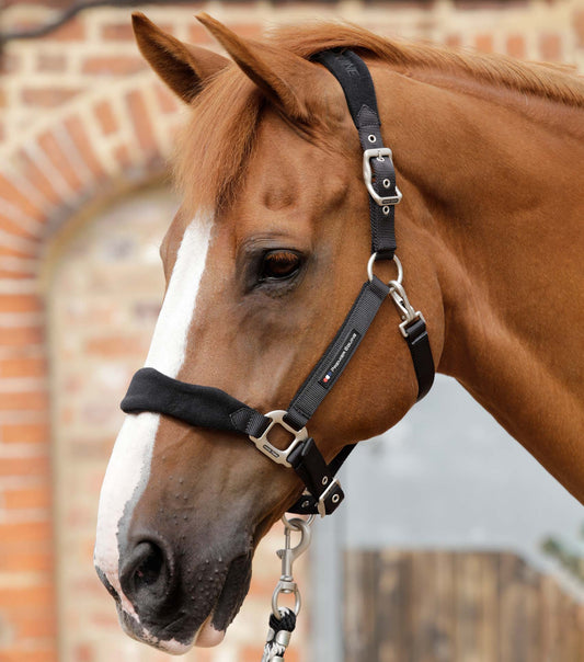 Premier Equine Fleece Padded Horse Head Collar by Premier Equine at Try a Bit
