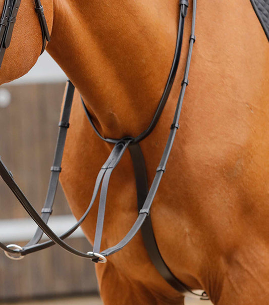 Premier Equine Fuscaldo Running Martingale by Premier Equine at Try a Bit