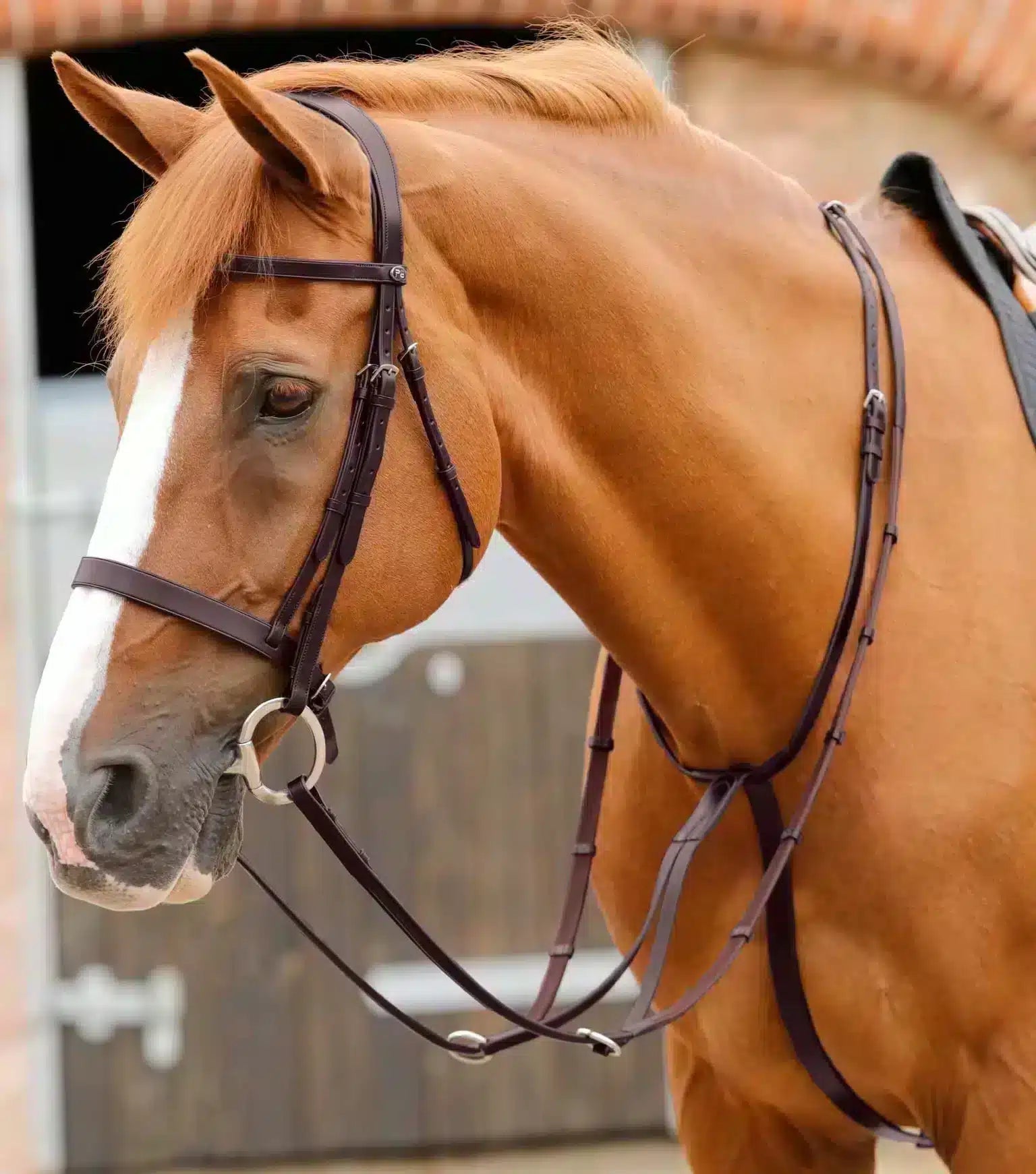 Premier Equine Fuscaldo Running Martingale by Premier Equine at Try a Bit