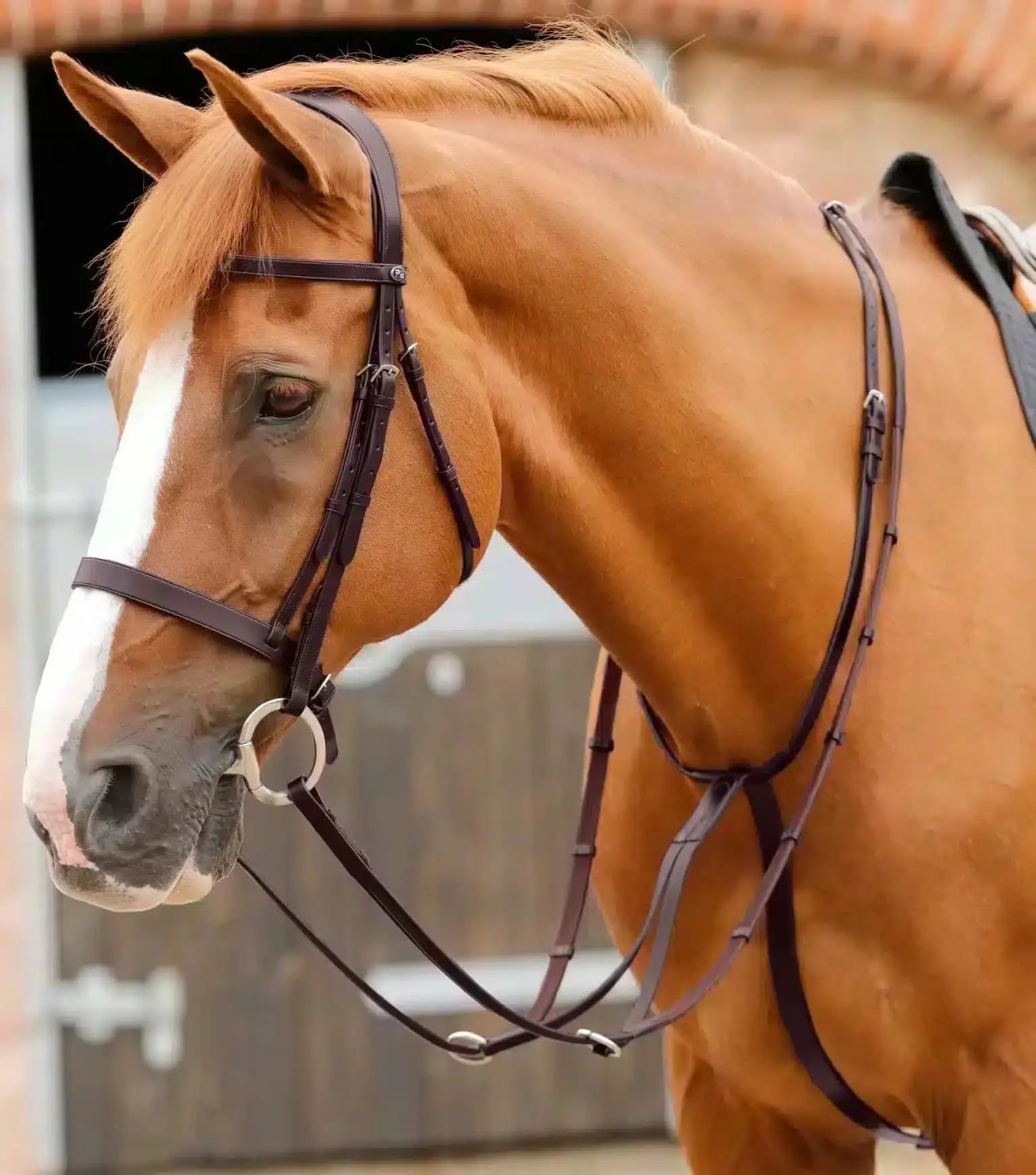 Premier Equine Fuscaldo Running Martingale by Premier Equine at Try A Bit