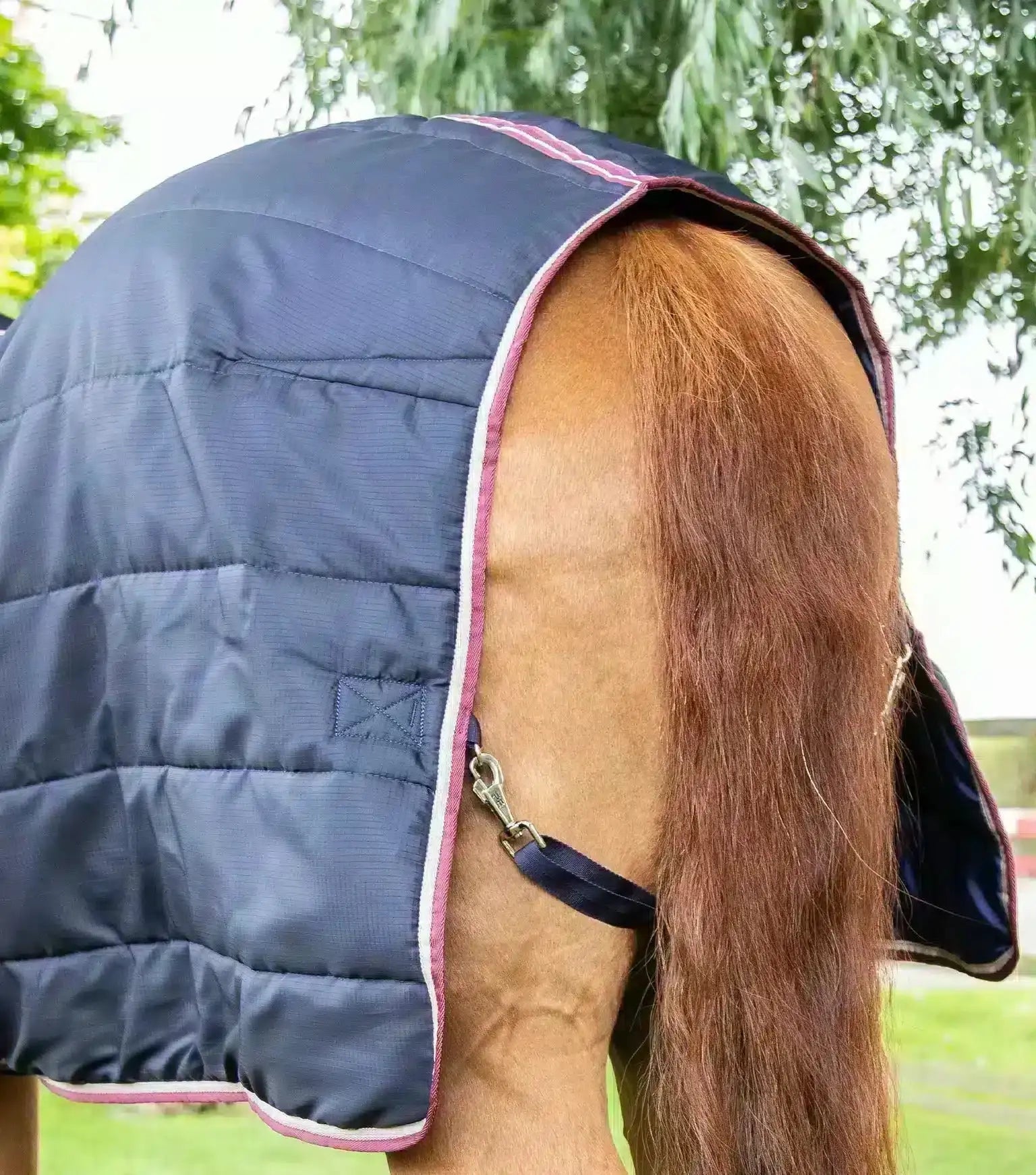 Premier Equine Garissa Stable Rug 100g by Premier Equine at Try a Bit