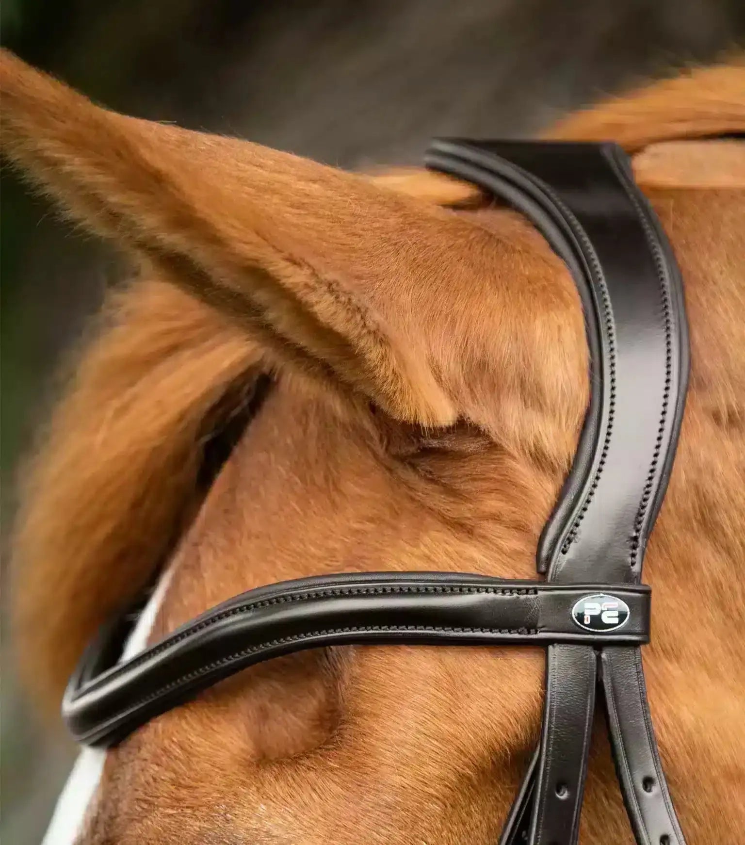 Premier Equine Glorioso Grackle Bridle by Premier Equine at Try a Bit