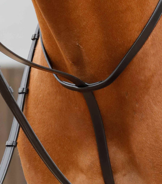 Premier Equine Gressan Standing Martingale by Premier Equine at Try a Bit