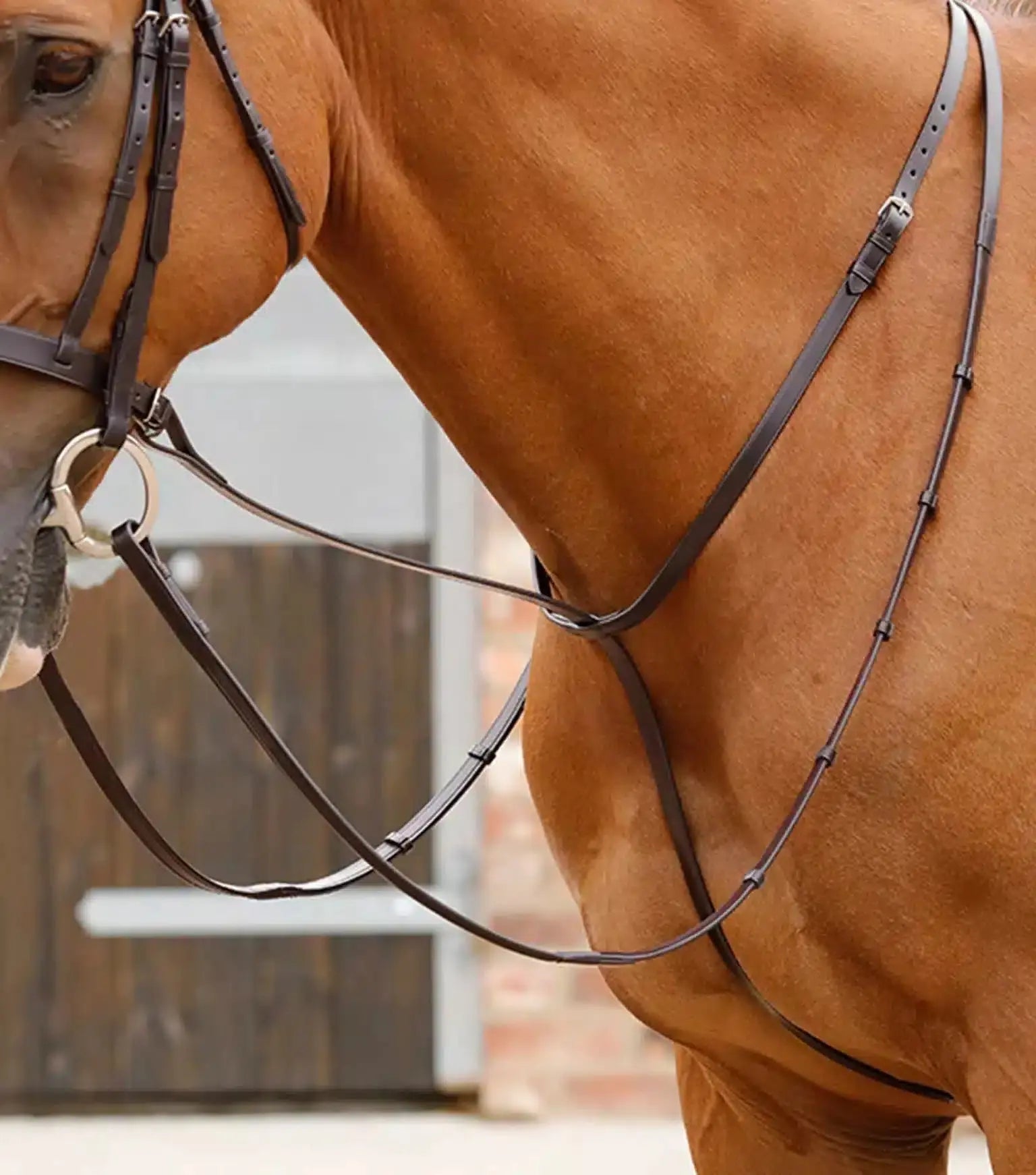 Premier Equine Gressan Standing Martingale by Premier Equine at Try A Bit