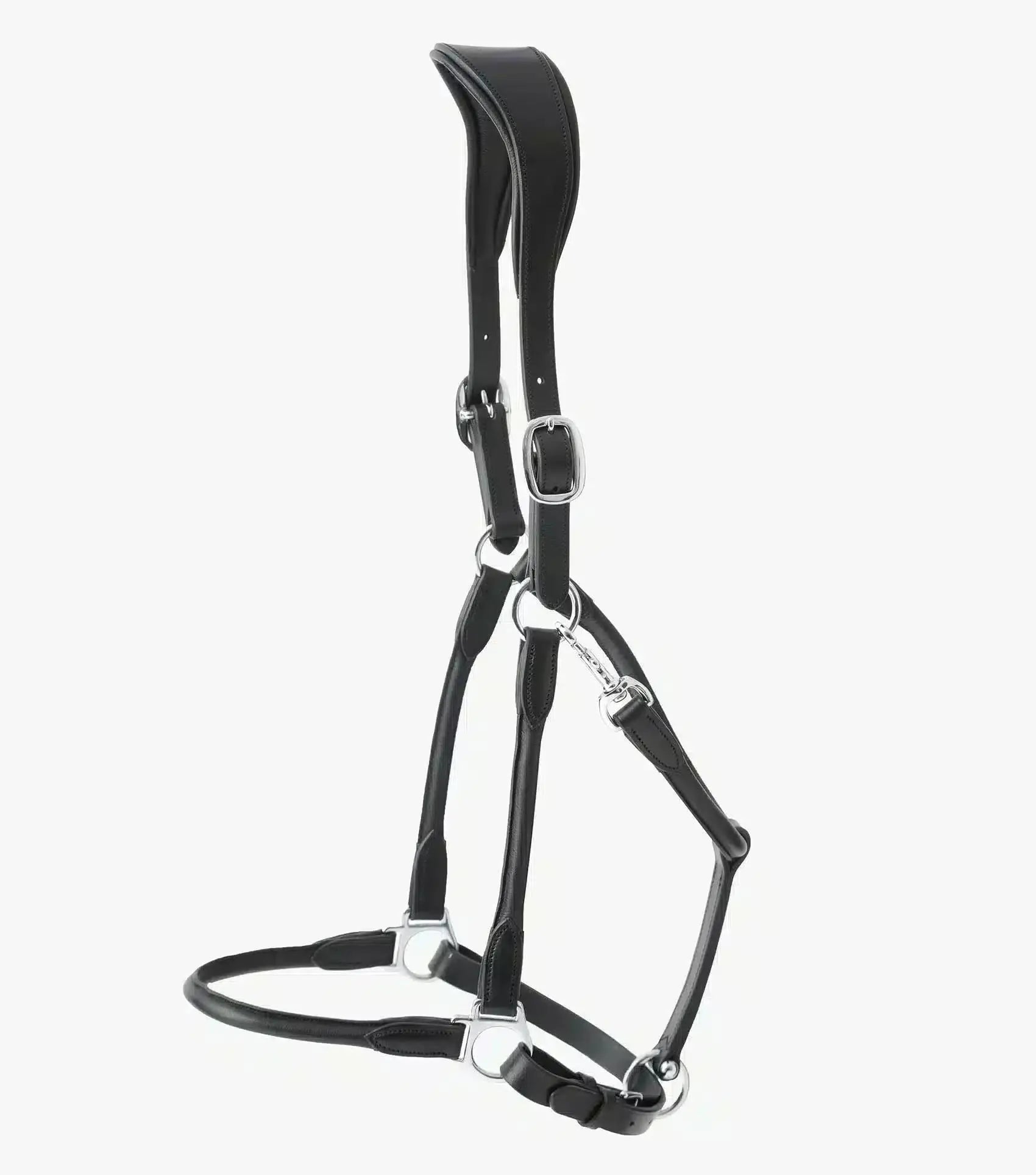 Premier Equine Hennaroso Rolled Anatomic Leather Head Collar by Premier Equine at Try A Bit