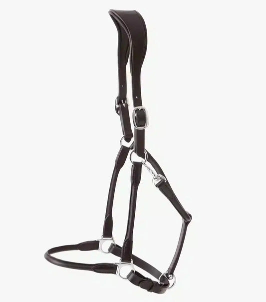 Premier Equine Hennaroso Rolled Anatomic Leather Head Collar by Premier Equine at  Try A Bit
