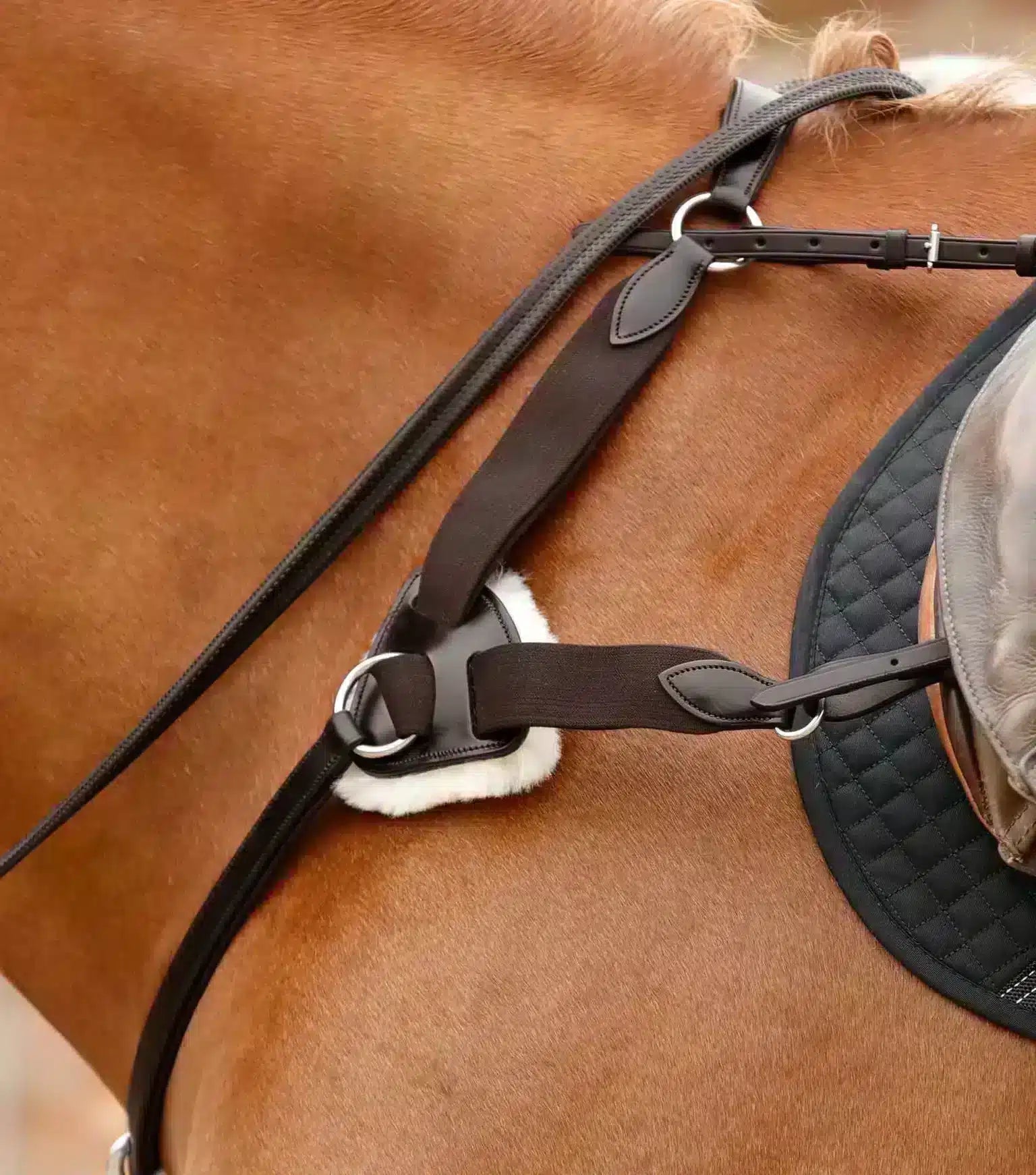Premier Equine Invorio 5 Point Breastplate by Premier Equine at Try a Bit