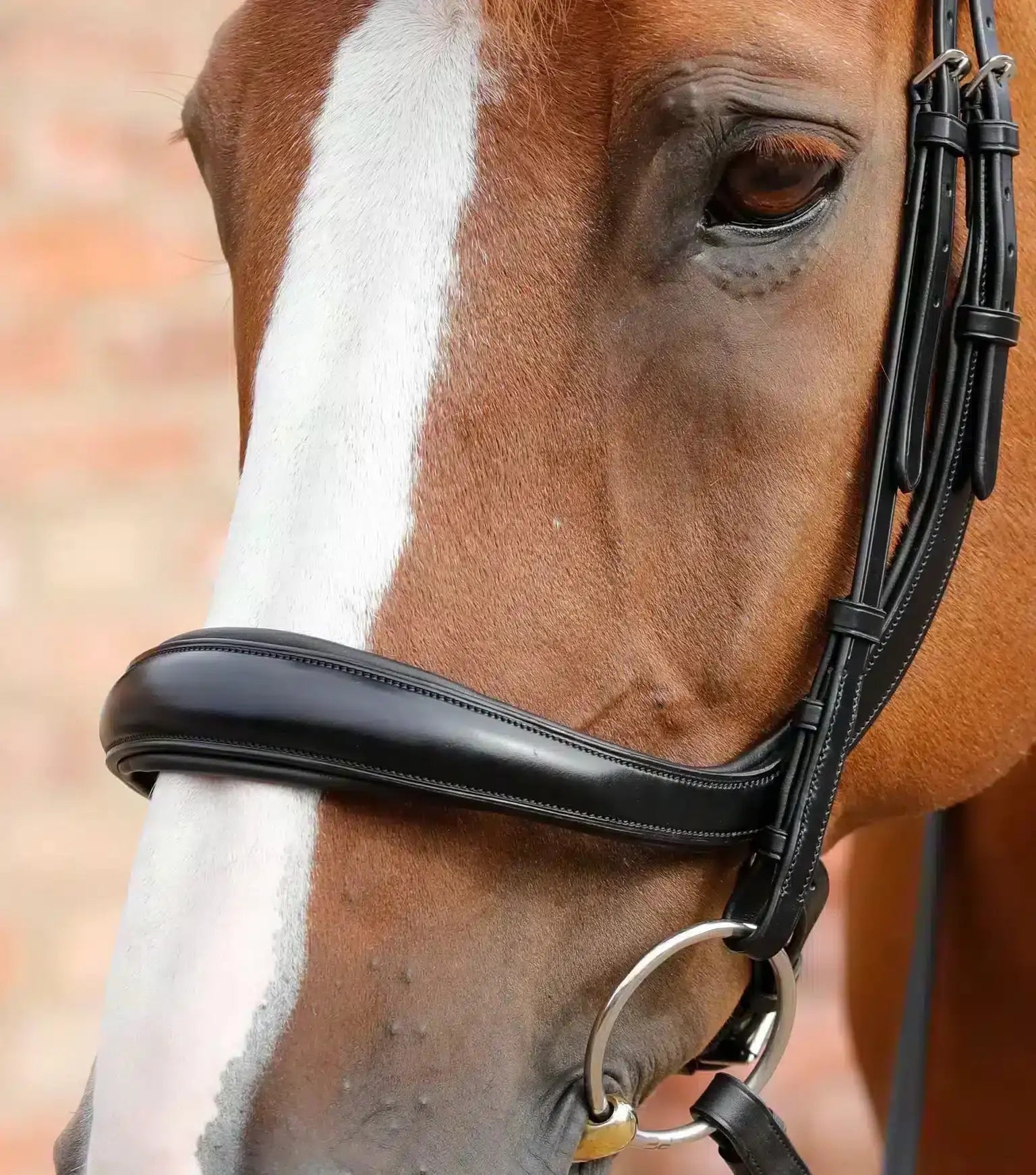 Premier Equine Lambro Anatomic Bridle with Crank Noseband by Premier Equine at Try a Bit