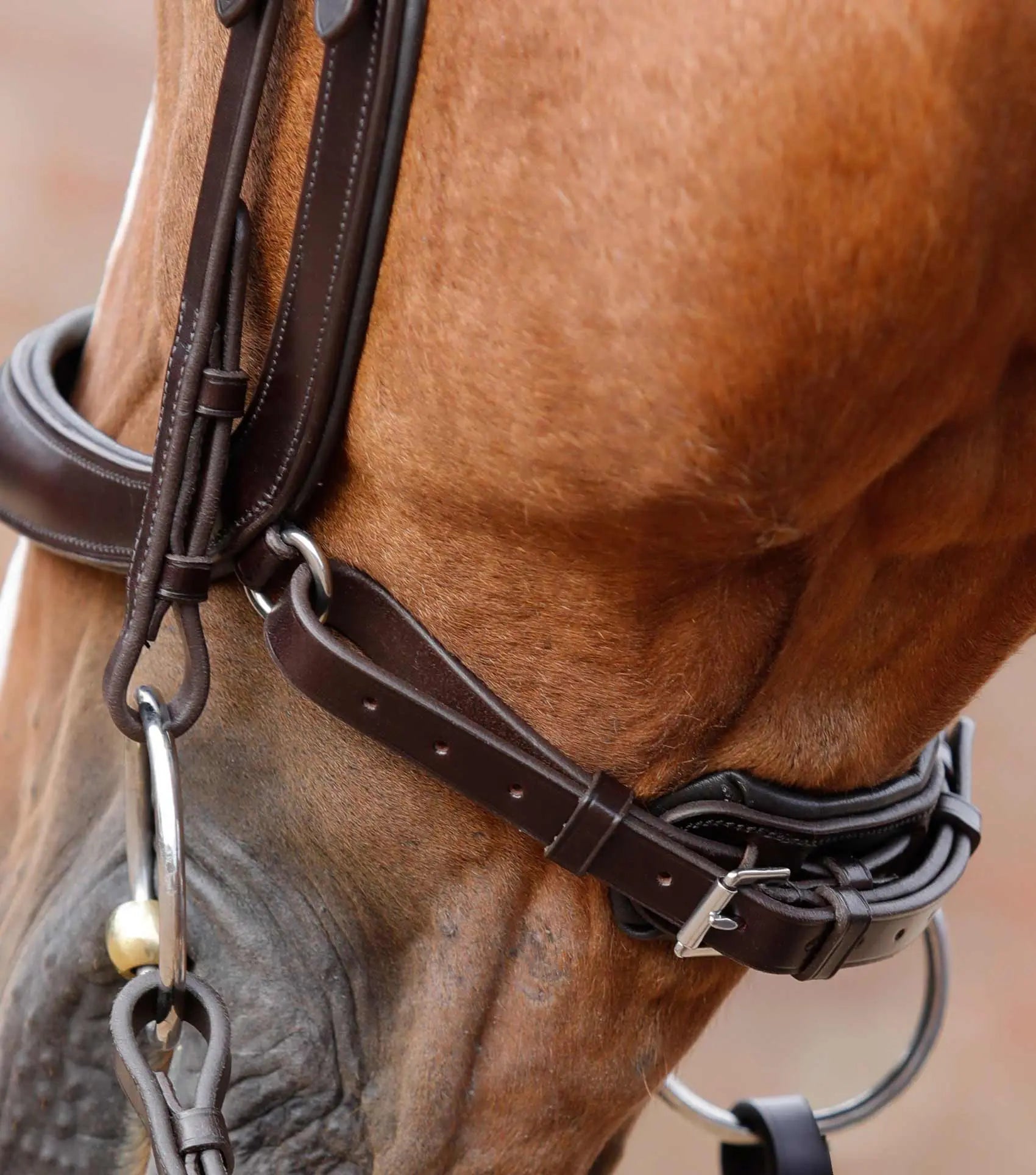 Premier Equine Lambro Anatomic Bridle with Crank Noseband by Premier Equine at Try a Bit