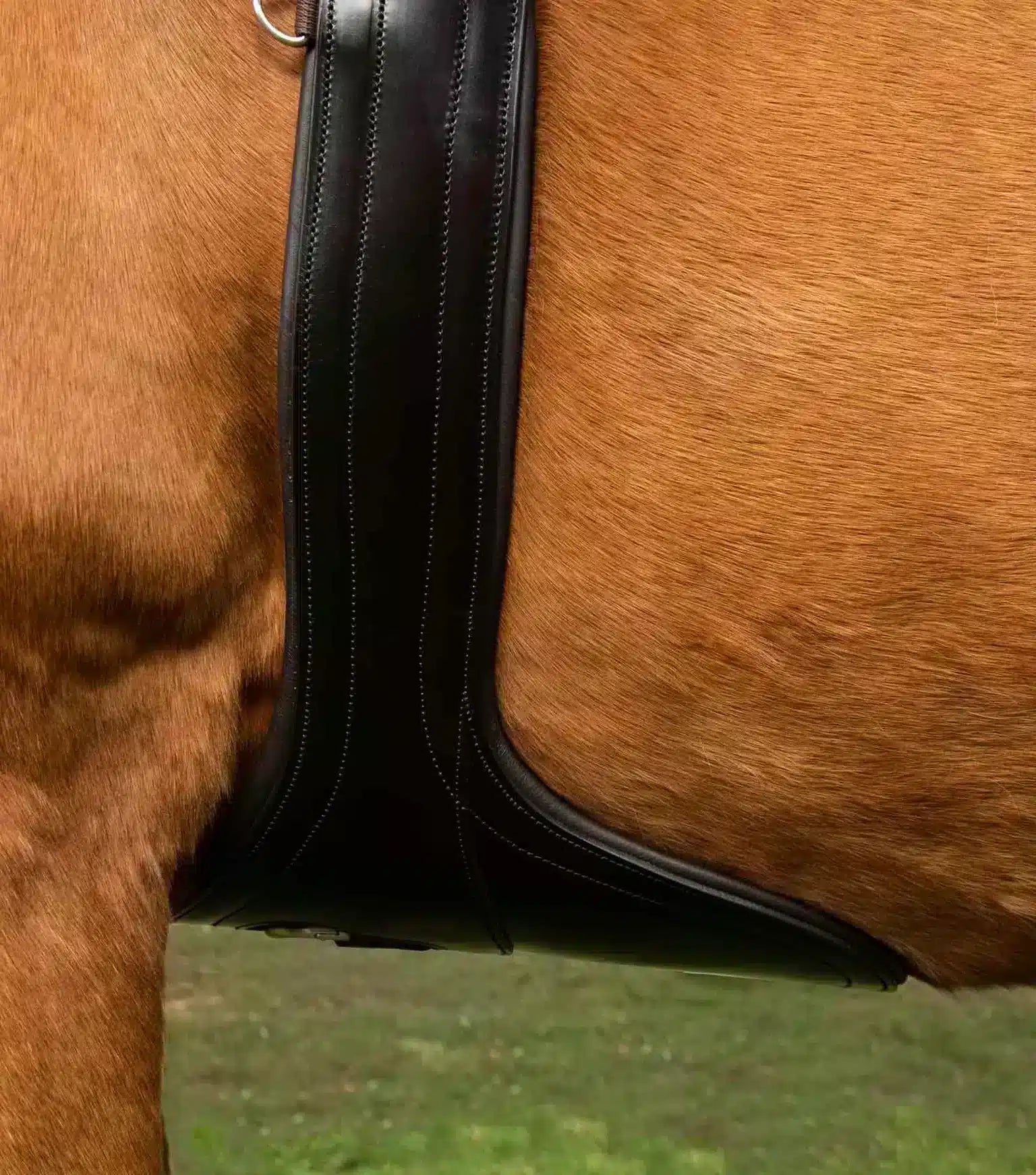 Premier Equine Lizzano Anatomic Leather Stud Girth by Premier Equine at Try a Bit