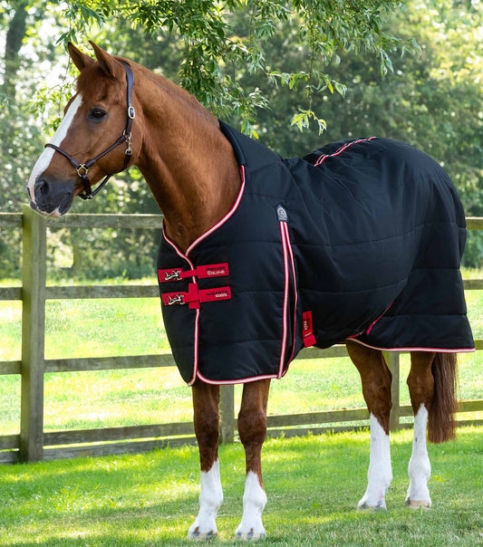 Premier Equine Lucanta Demi Stable 200g by Premier Equine at Try a Bit