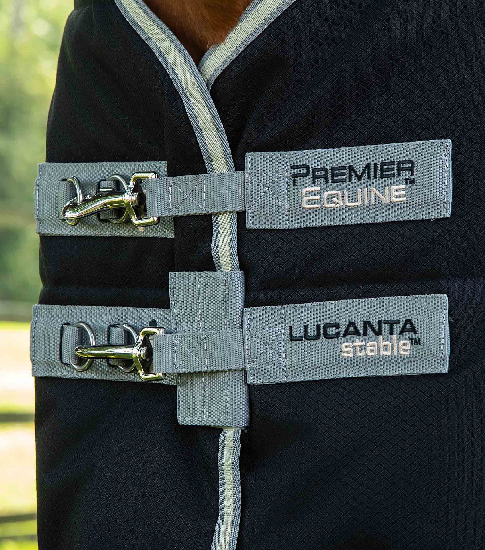 Premier Equine Lucanta Demi Stable 100g by Premier Equine at Try a Bit