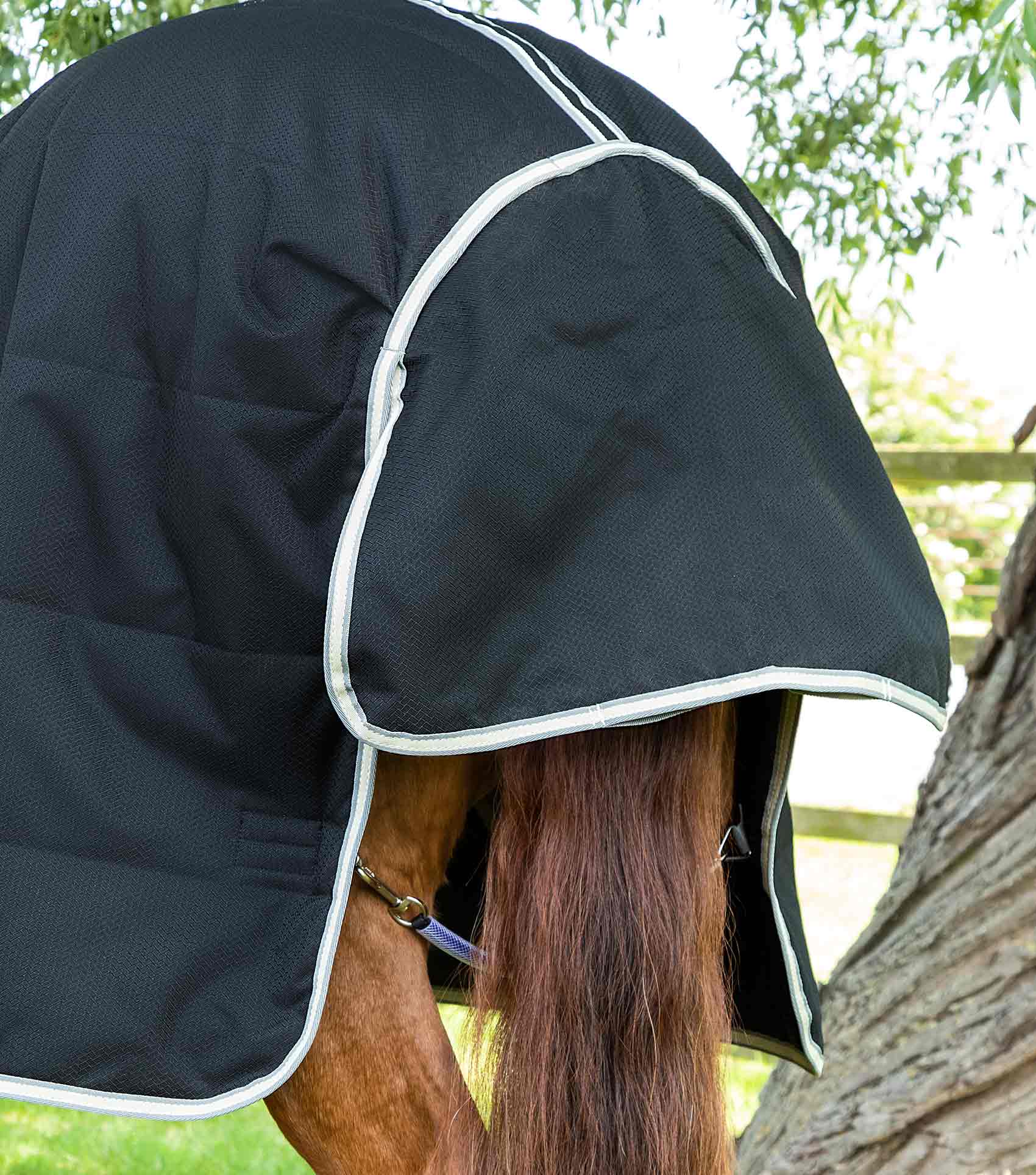 Premier Equine Lucanta Demi Stable 100g by Premier Equine at Try a Bit