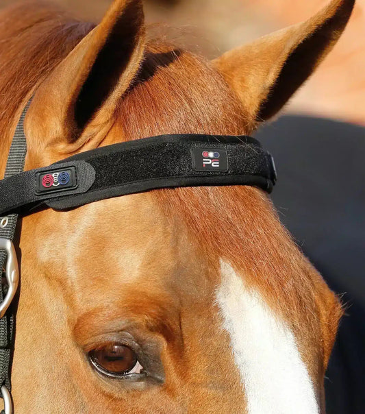 Premier Equine Magni-Teque Magnetic Browband by Premier Equine at Try a Bit