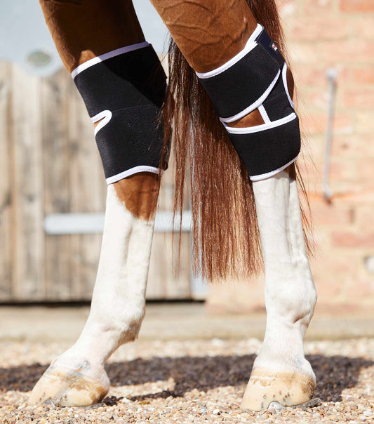 Premier Equine Magni-Teque Magnetic Hock Boots by Premier Equine at Try a Bit