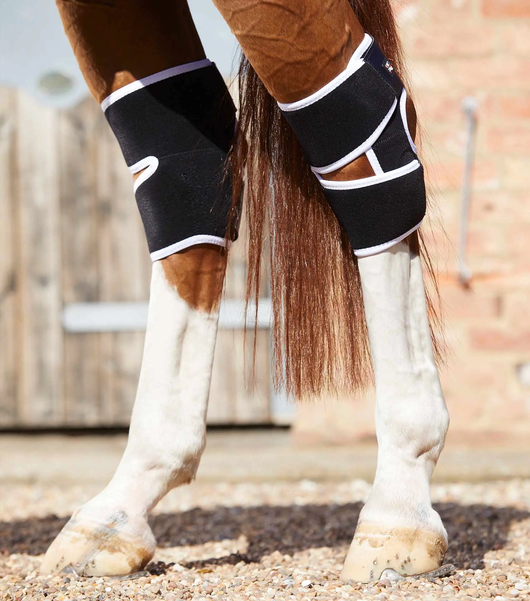 Premier Equine Magni-Teque Magnetic Hock Boots by Premier Equine at Try A Bit