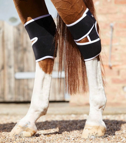 Premier Equine Magni-Teque Magnetic Hock Boots by Premier Equine at Try A Bit