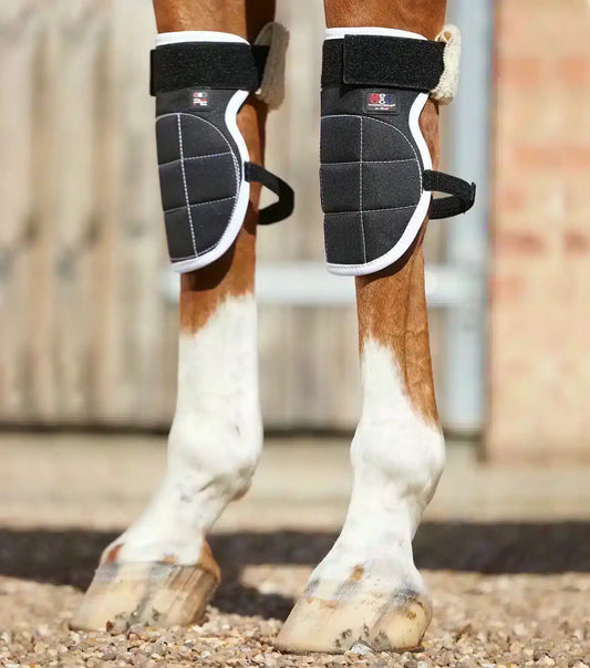 Premier Equine Magni-Teque Magnetic Horse Knee Boots by Premier Equine at Try a Bit