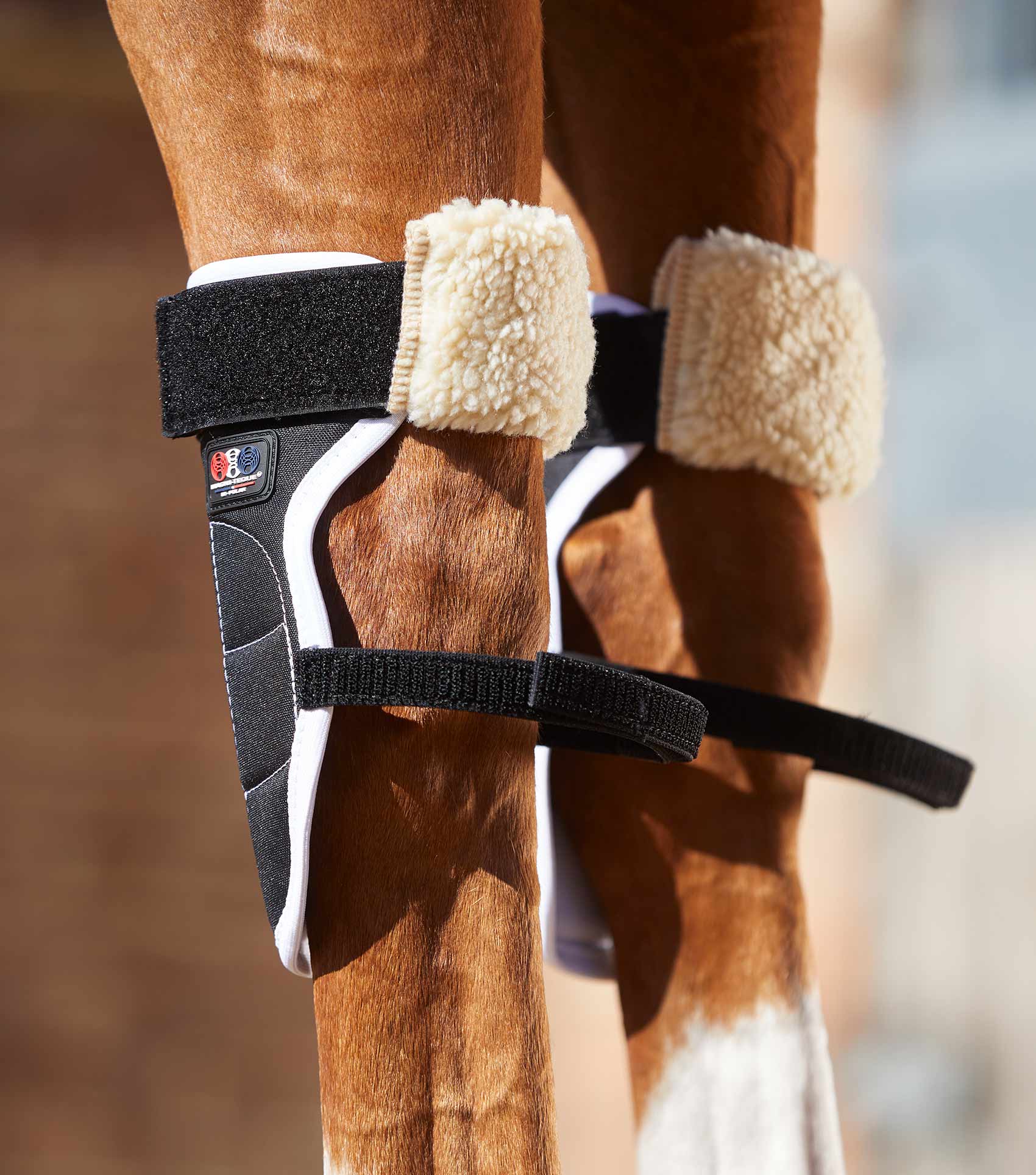 Premier Equine Magni-Teque Magnetic Horse Knee Boots by Premier Equine at Try a Bit