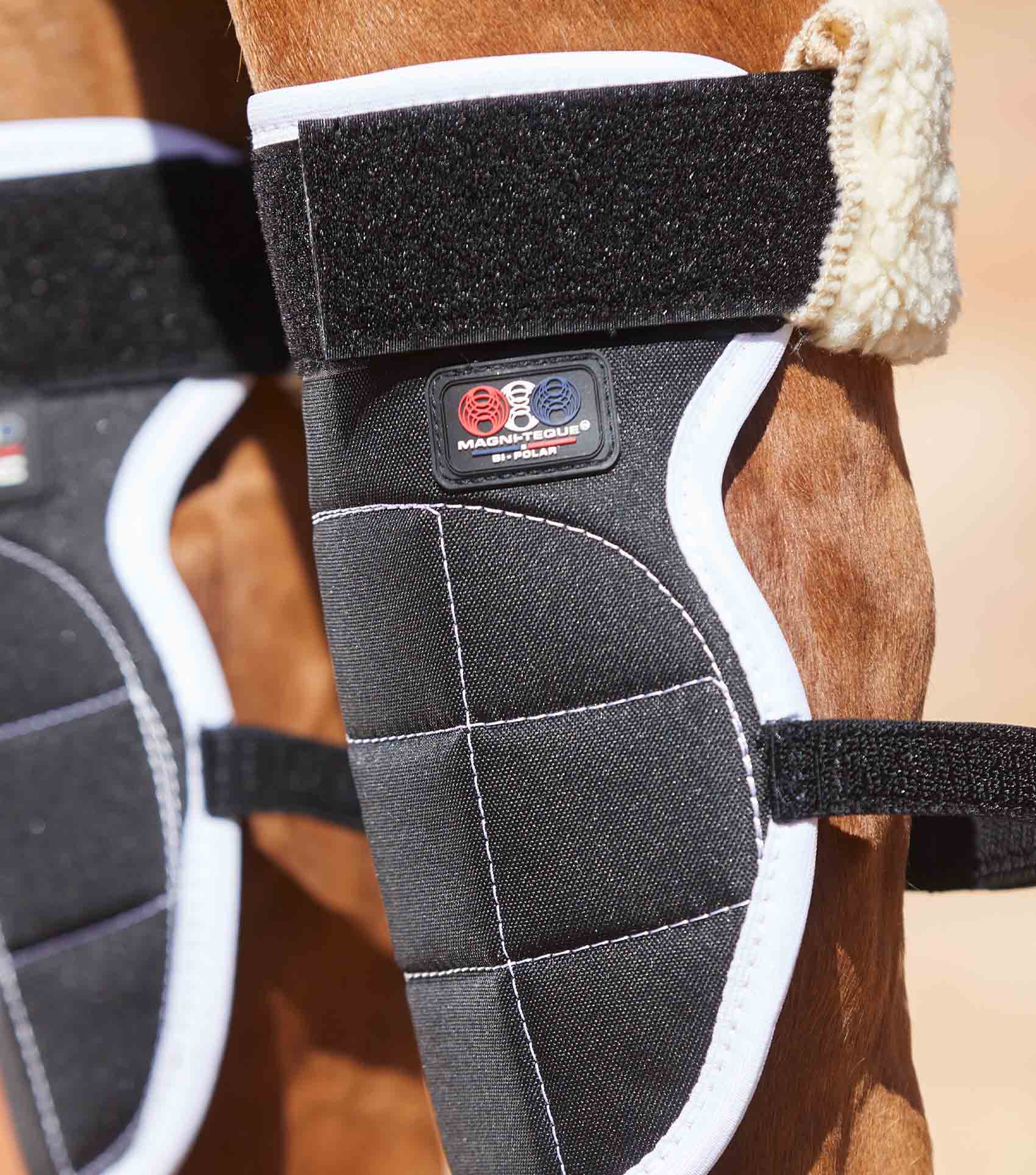 Premier Equine Magni-Teque Magnetic Horse Knee Boots by Premier Equine at Try a Bit