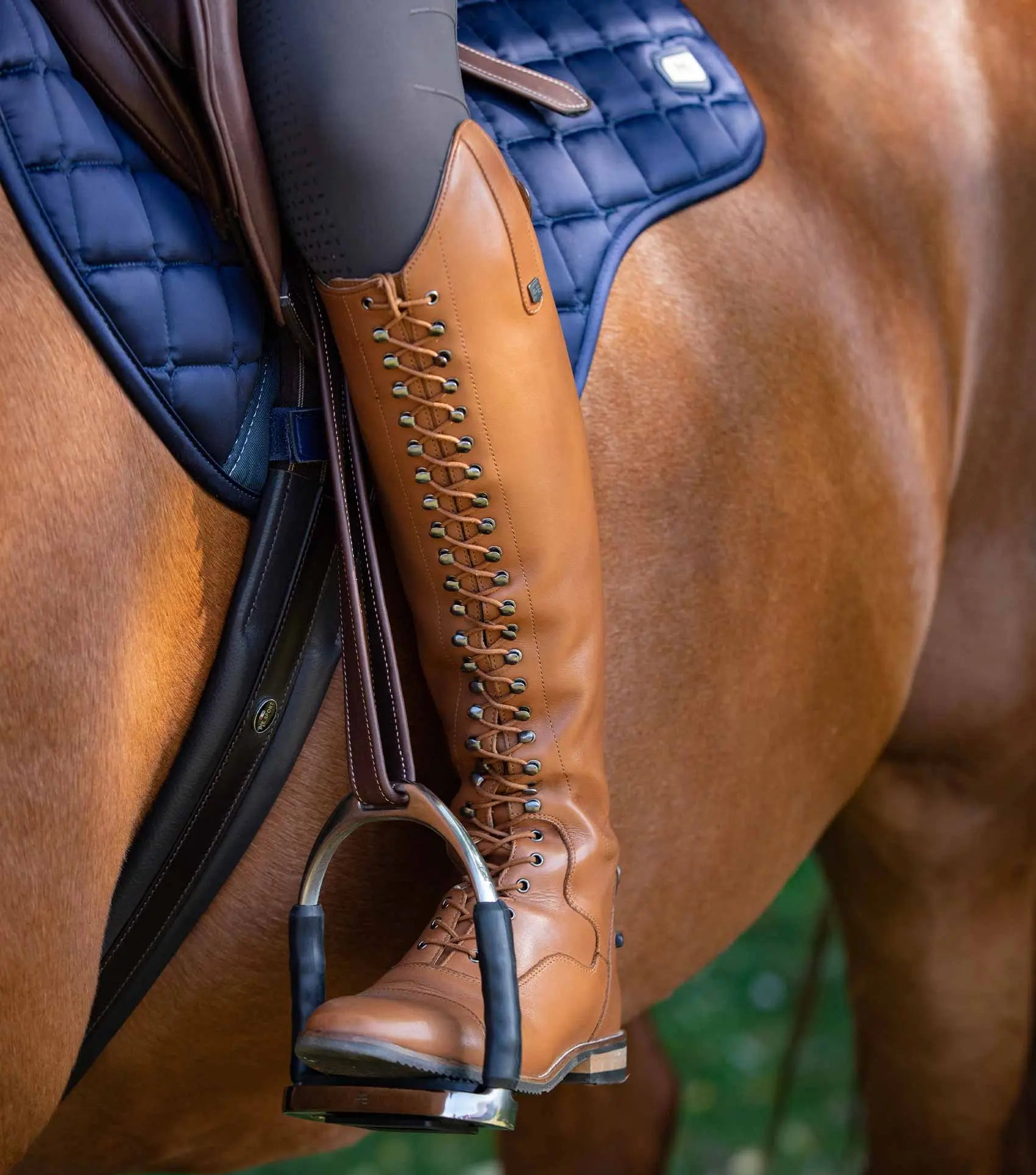 Premier Equine Maurizia Ladies Lace Front Tall Leather Riding Boot by Premier Equine at Try a Bit