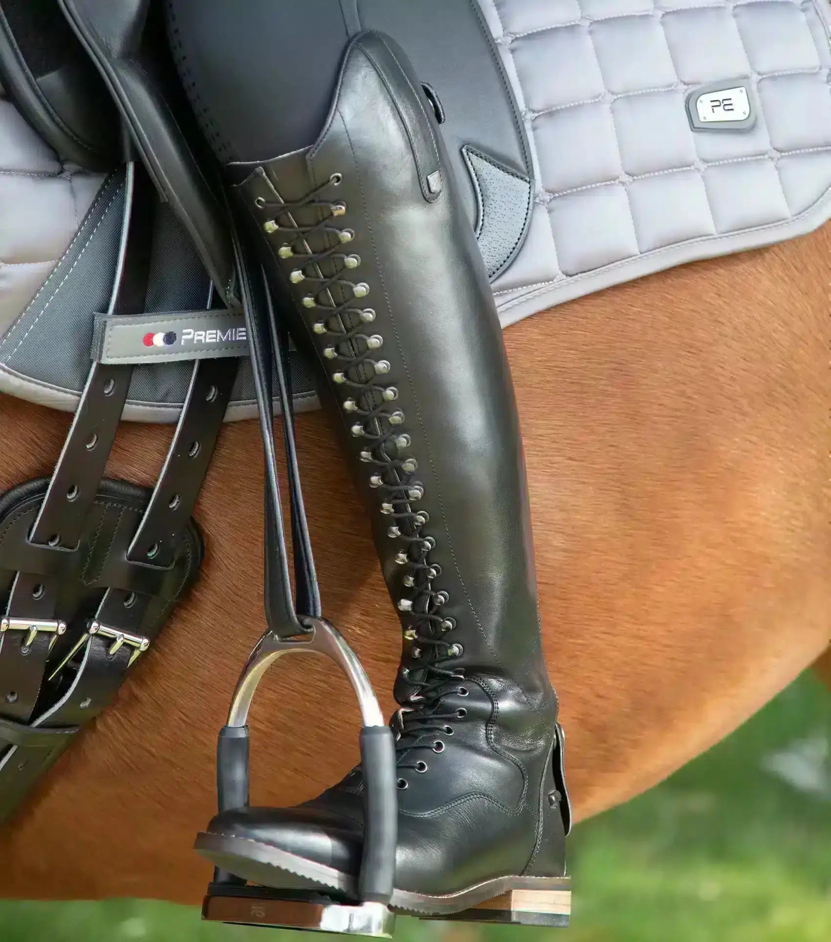 Premier Equine Maurizia Ladies Lace Front Tall Leather Riding Boot by Premier Equine at Try a Bit