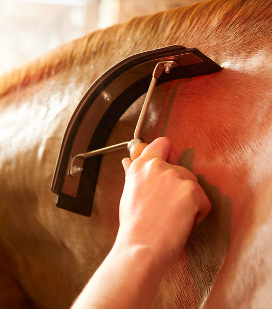 Premier Equine Metal Sweat Scraper with Wooden Handle by Premier Equine at Try a Bit