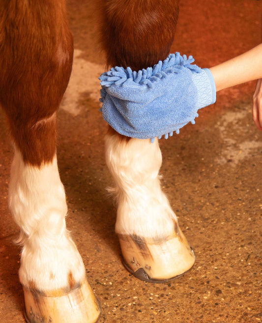 Premier Equine Microfibre Grooming Mitt by Premier Equine at Try a Bit