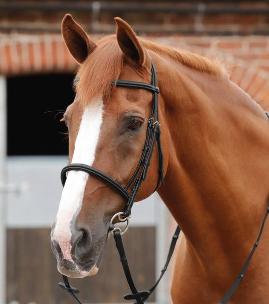 Premier Equine Mossimo Cavesson Bridle by Premier Equine at Try a Bit