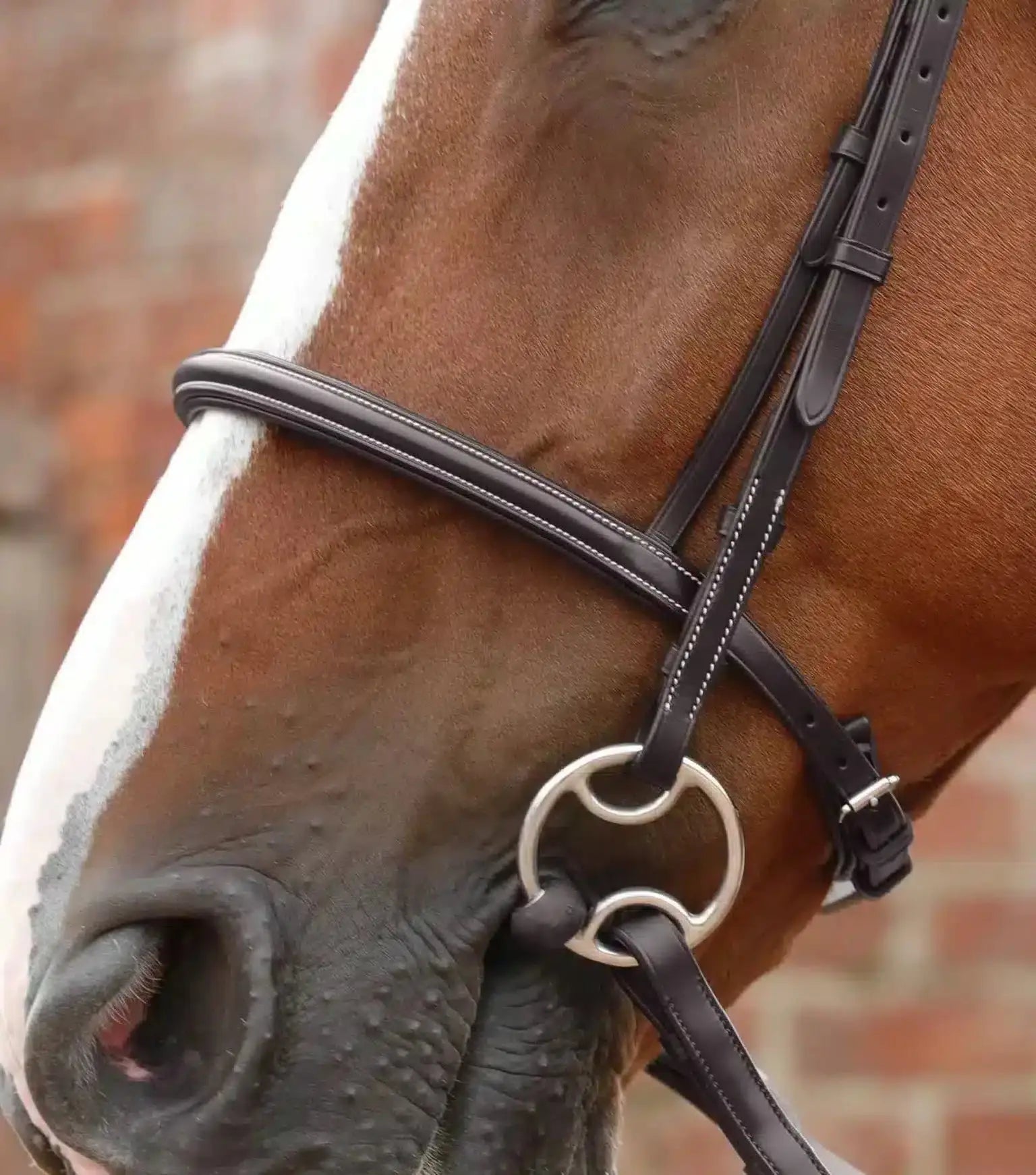 Premier Equine Mossimo Cavesson Bridle by Premier Equine at Try a Bit