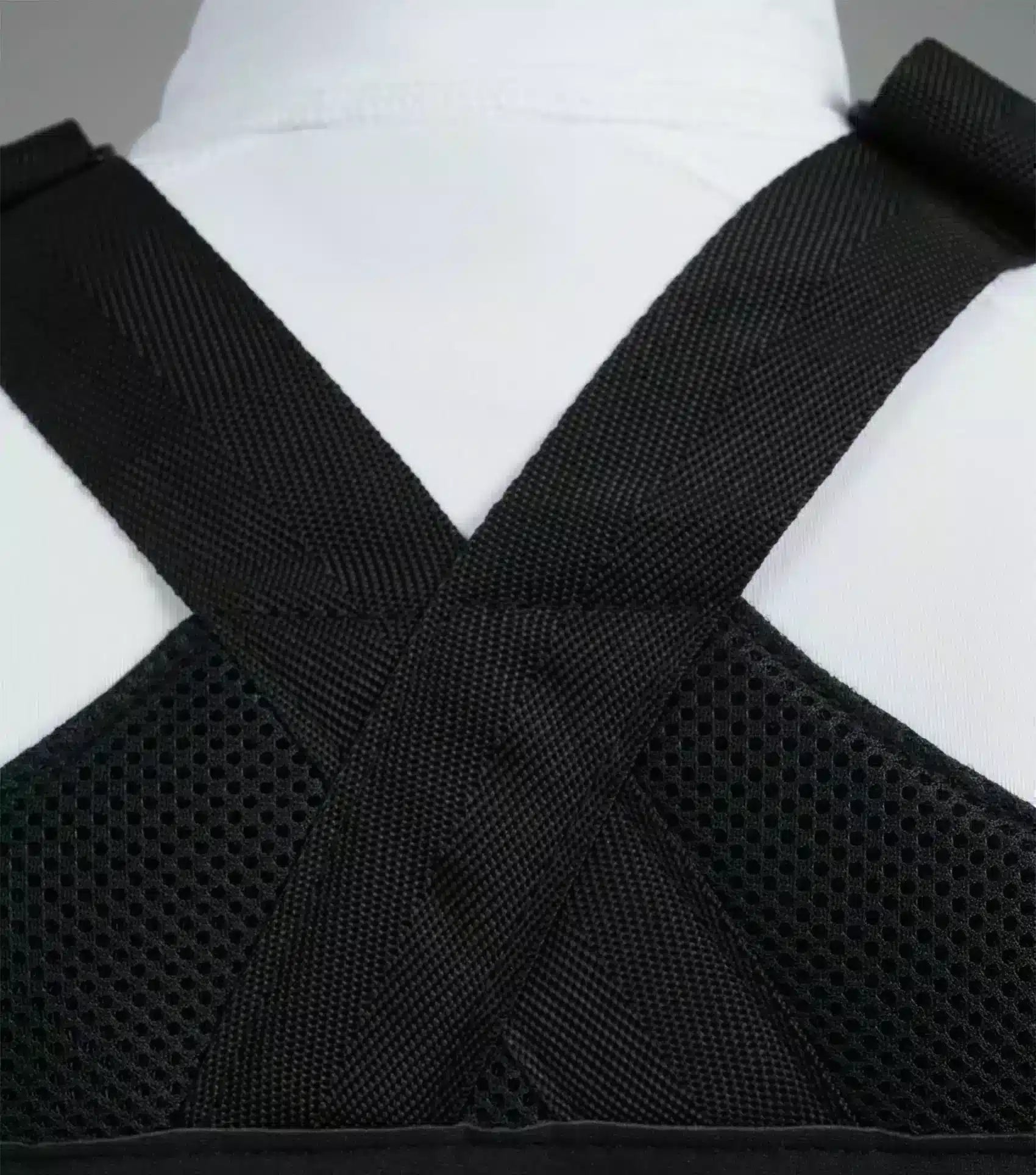 Premier Equine Neoprene Adjustable Number Competition Bib by Premier Equine at Try a Bit