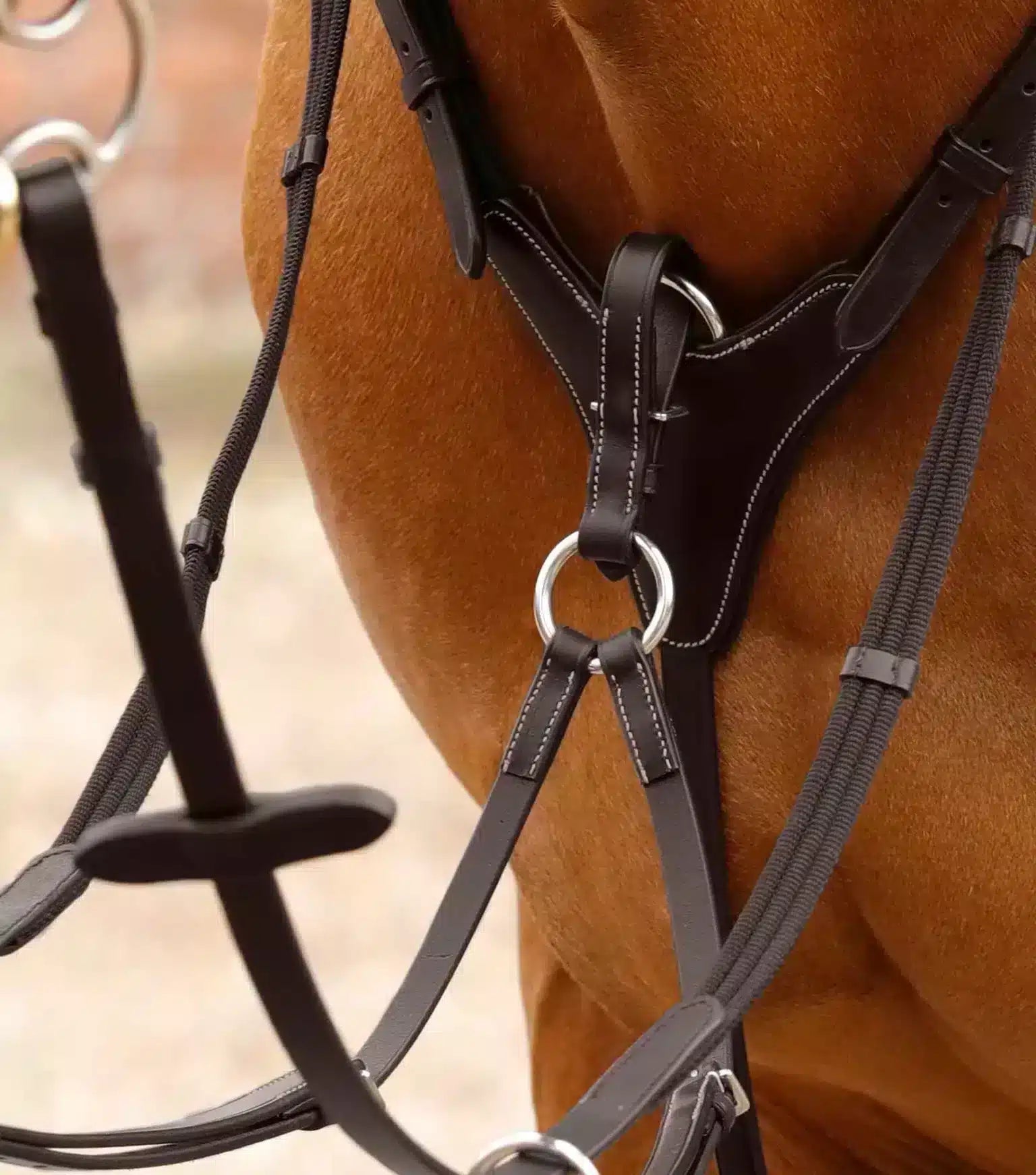 Premier Equine Norbello Hunter Breastplate by Premier Equine at Try a Bit