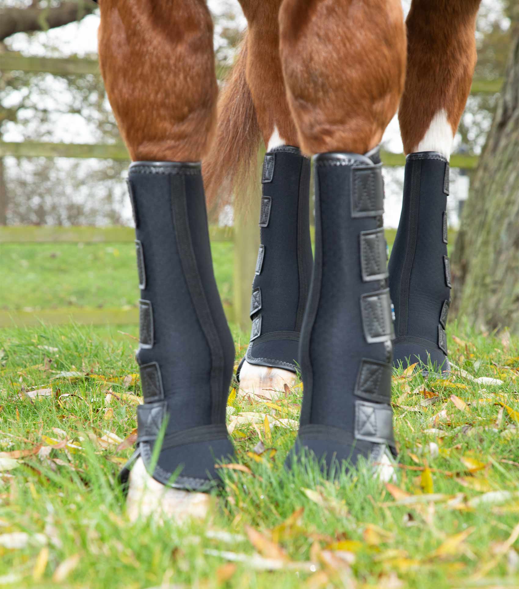 Premier Equine Turnout/ Mud Fever Boots by Premier Equine at Try a Bit