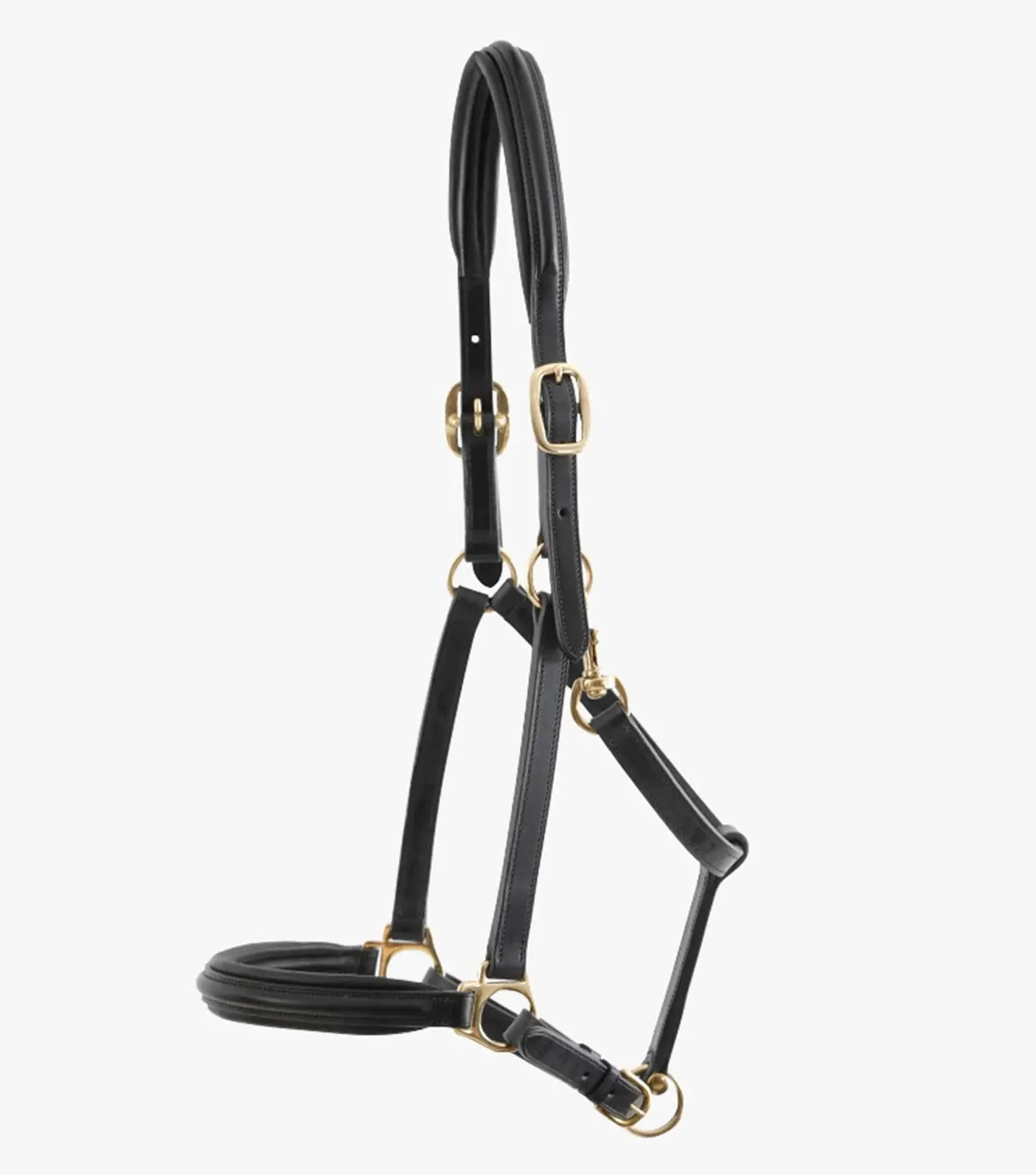 Premier Equine Rego Padded Leather Head Collar by Premier Equine at Try A Bit