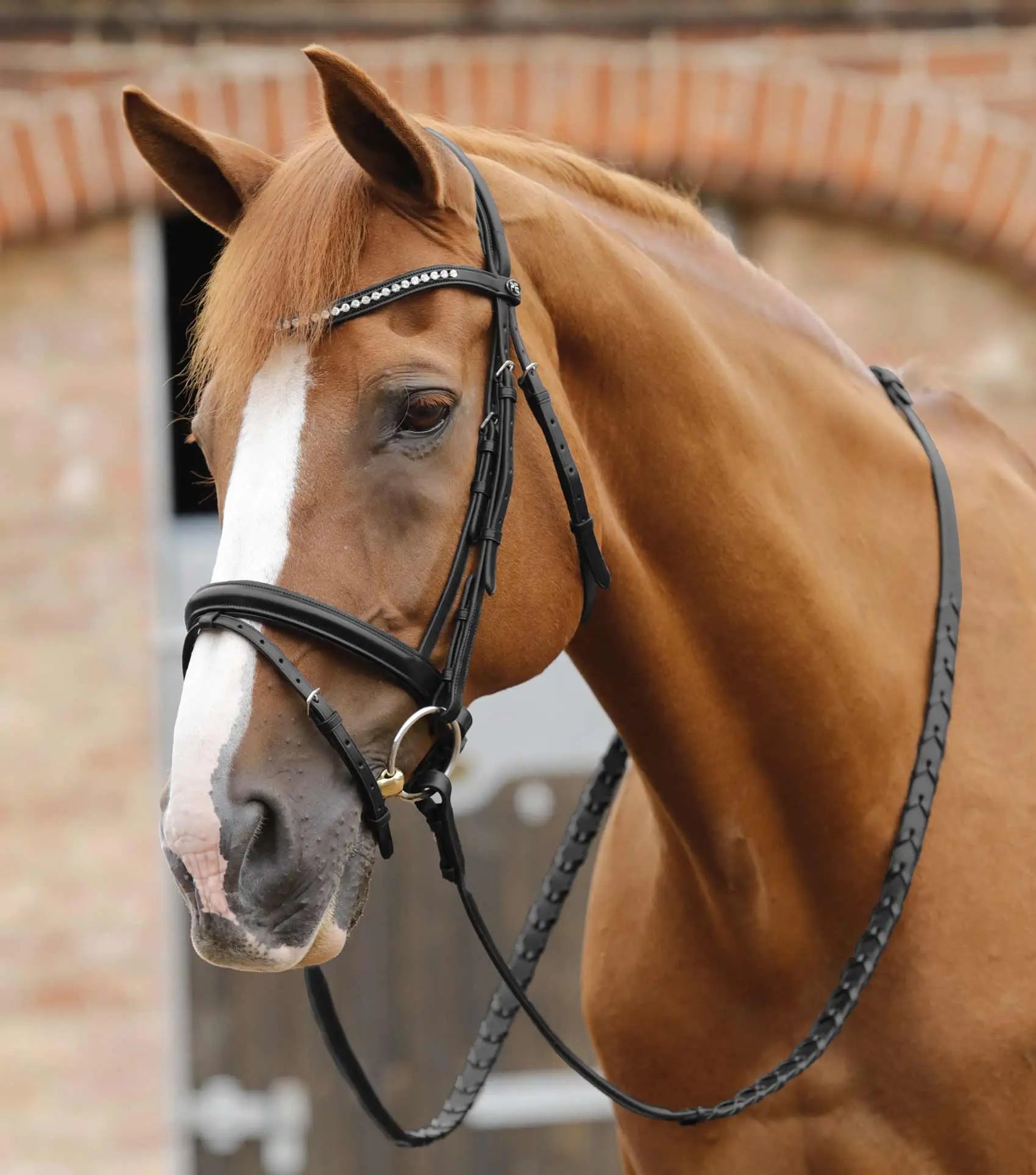 Premier Equine Pietro Laced Reins by Premier Equine at Try a Bit