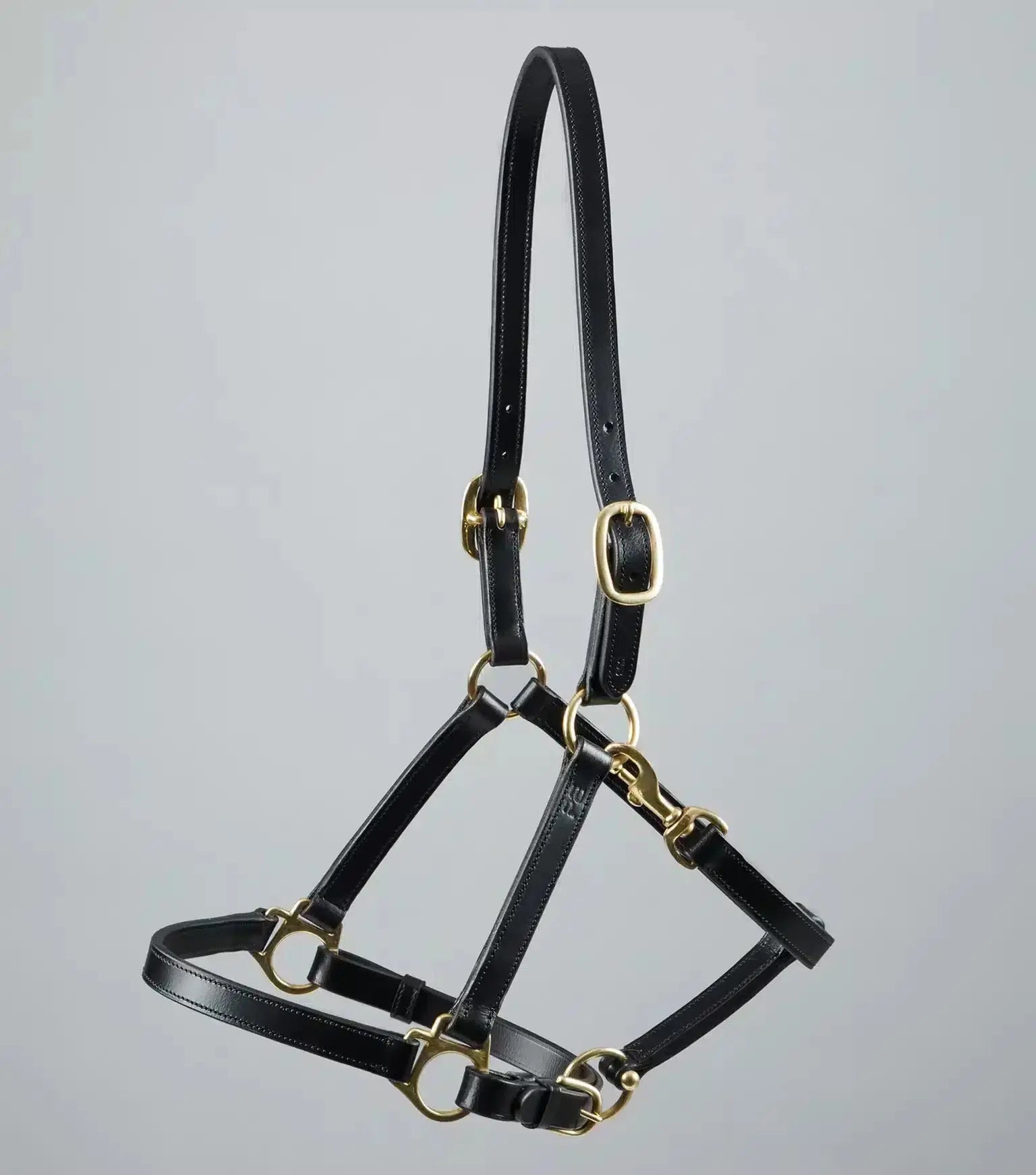 Premier Equine Pasco Plain Leather Head Collar by Premier Equine at Try A Bit