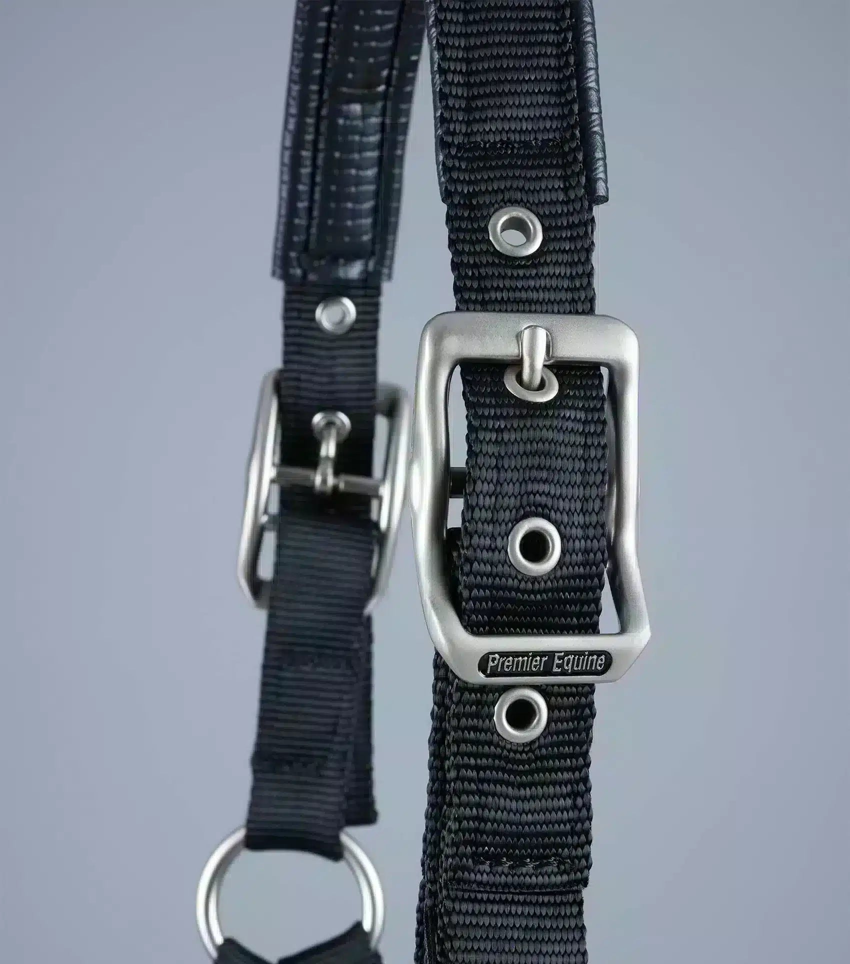 Premier Equine Plain Padded Horse Head Collar by Premier Equine at Try a Bit